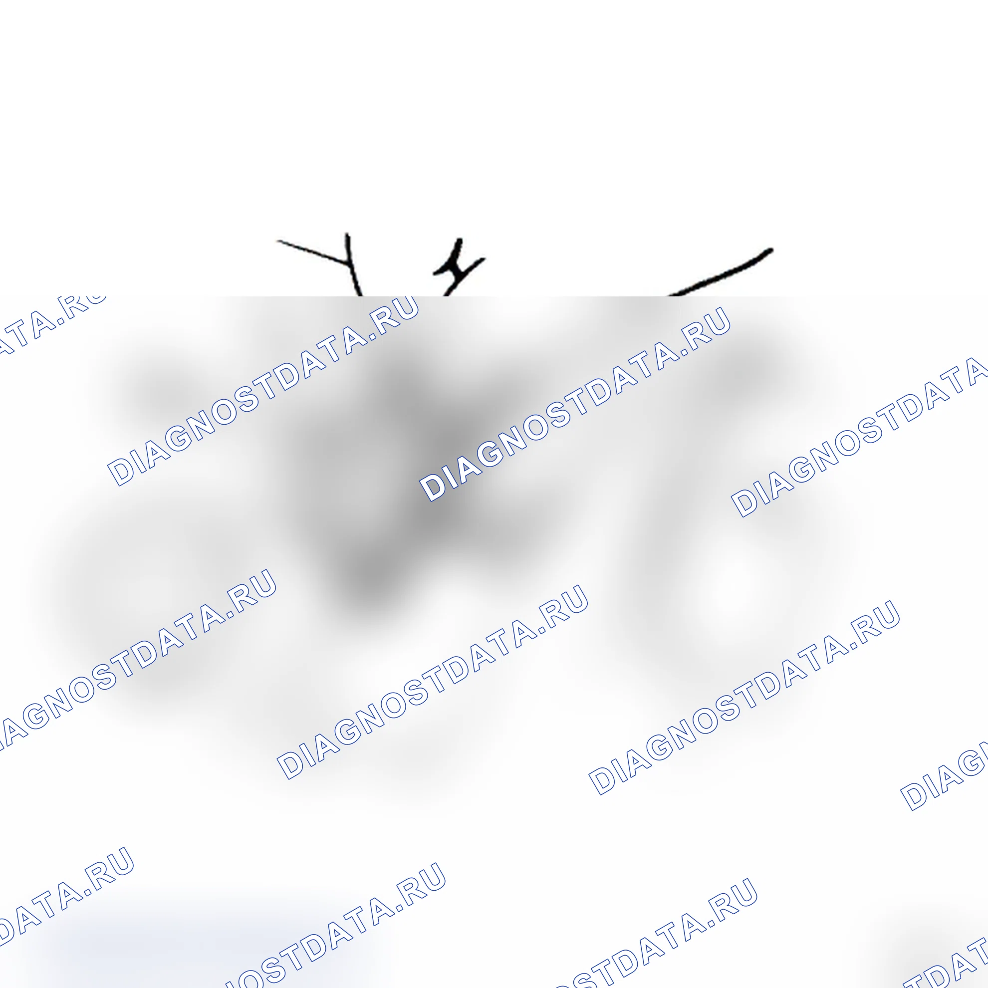 Поршень - шатун: проверка: — вариант 3. Renault Kangoo II