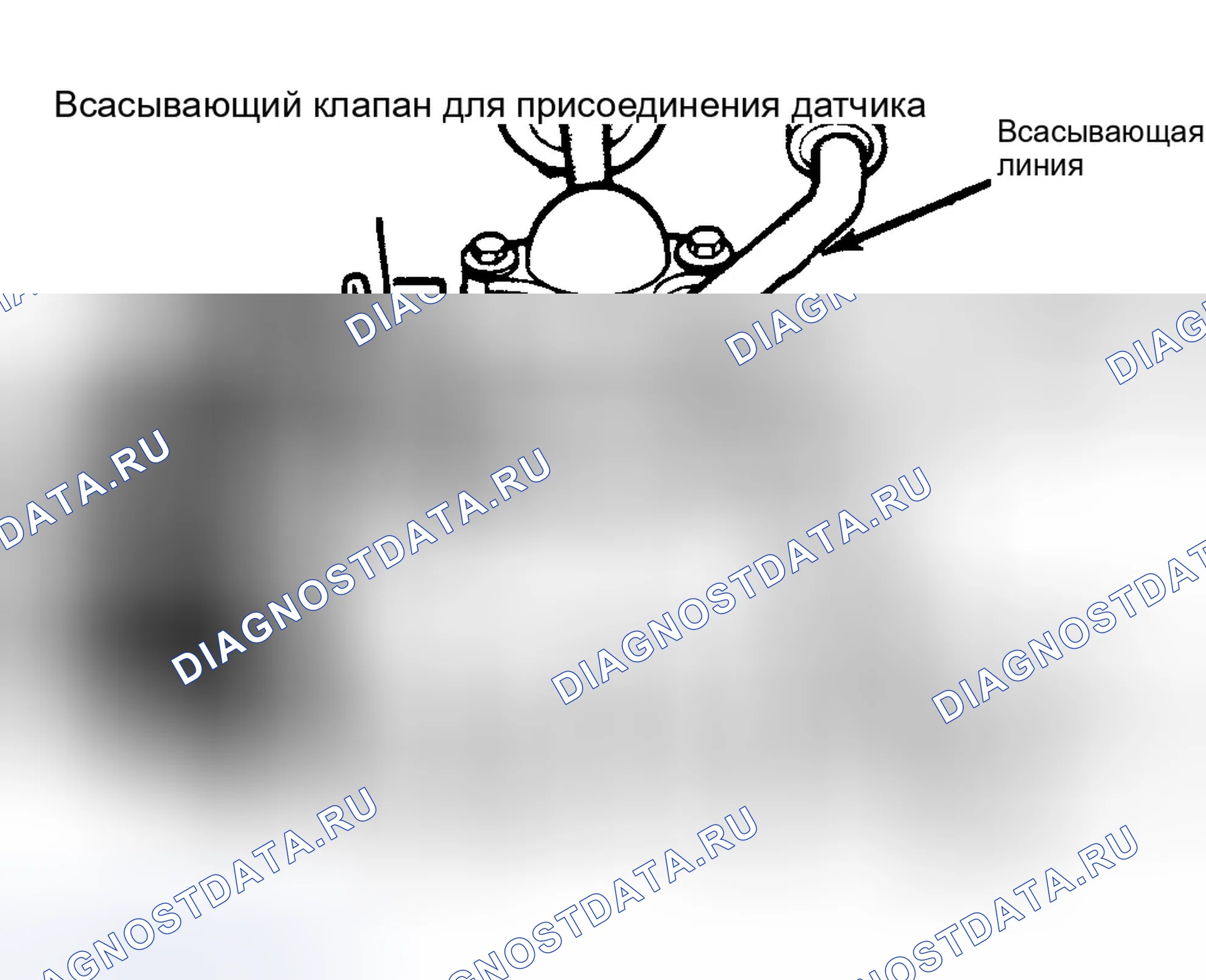 Рис. 5: Chrysler Motors/Nippondenso 6-Cyl. Проверка компрессорного масла. Dodge Diplomat I