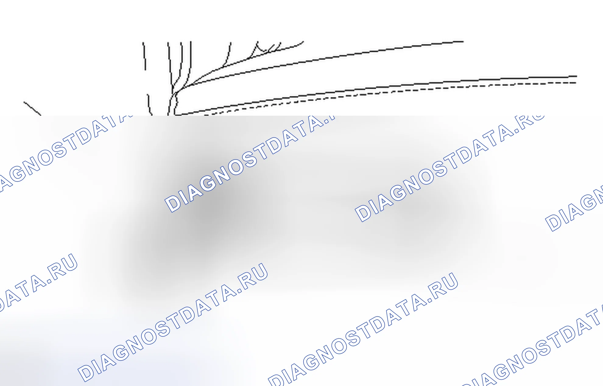 Рис. 182. Toyota Venza I