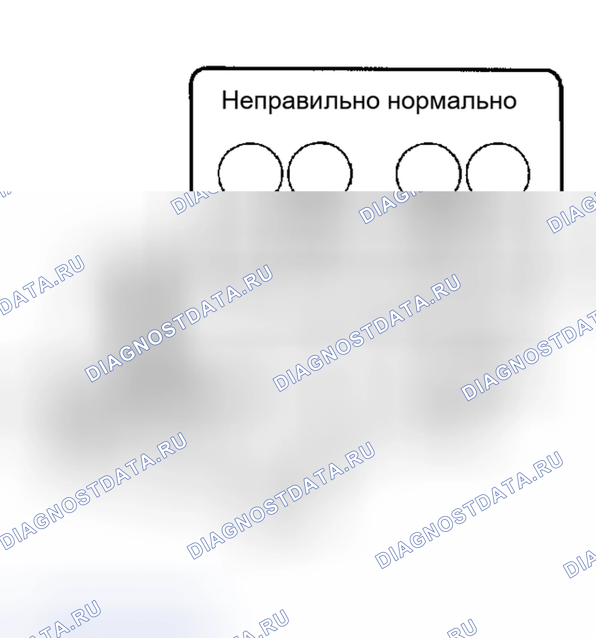 Рис. 3. Scion xB I