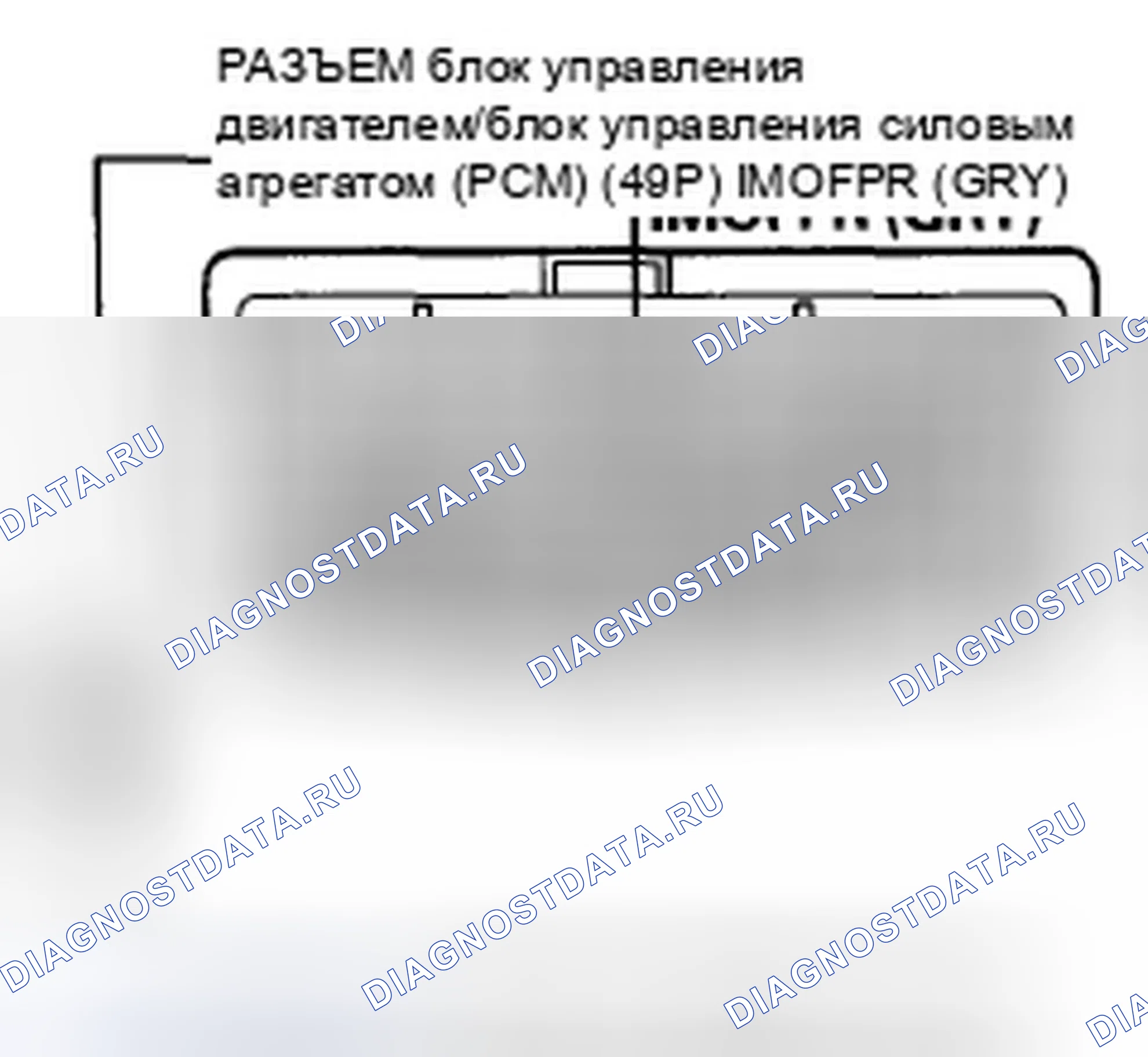 Рис. 898. Honda Accord VIII рестайлинг