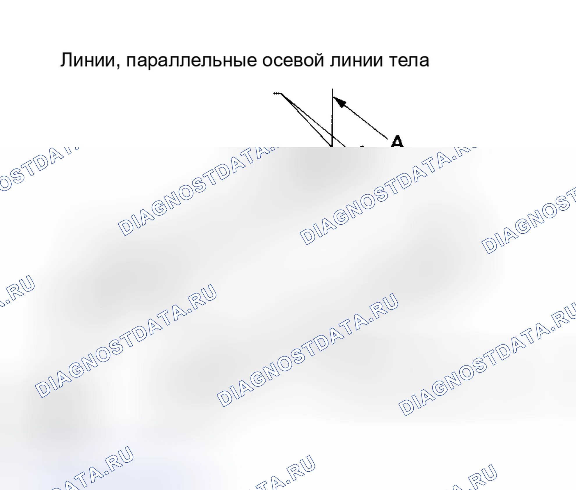 Рис. 14. Honda Street I