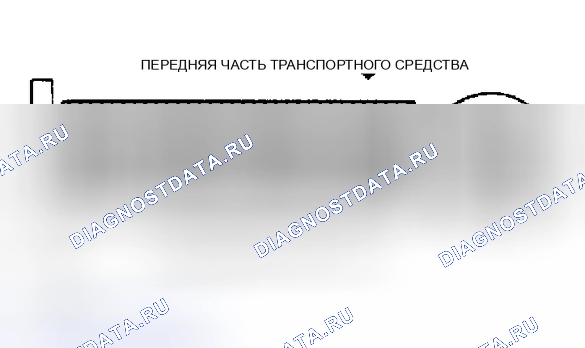 Рис. 4: порядок работы цилиндров и вращение распределителя (323). Mazda MPV V