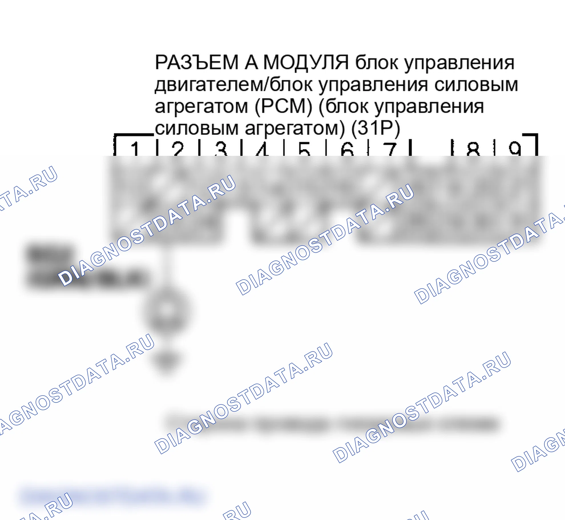 Рис. 65. Honda Element YH2