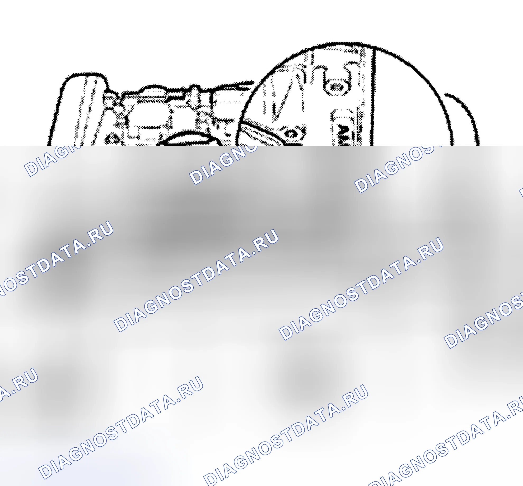Рис. 15: КОД ДВИГАТЕЛЯ. Audi S4 B6