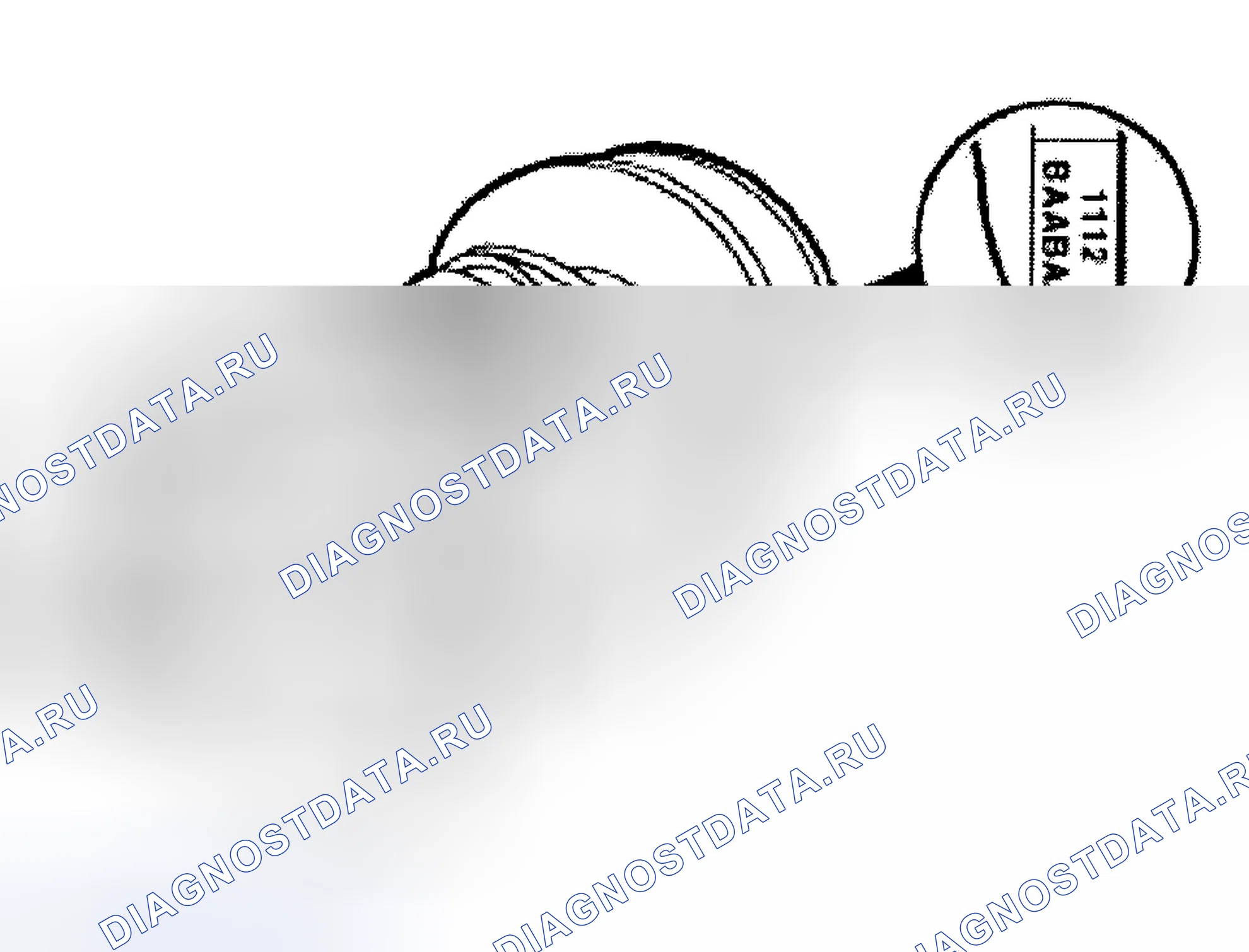 Рис. 186. Land Rover Freelander L314