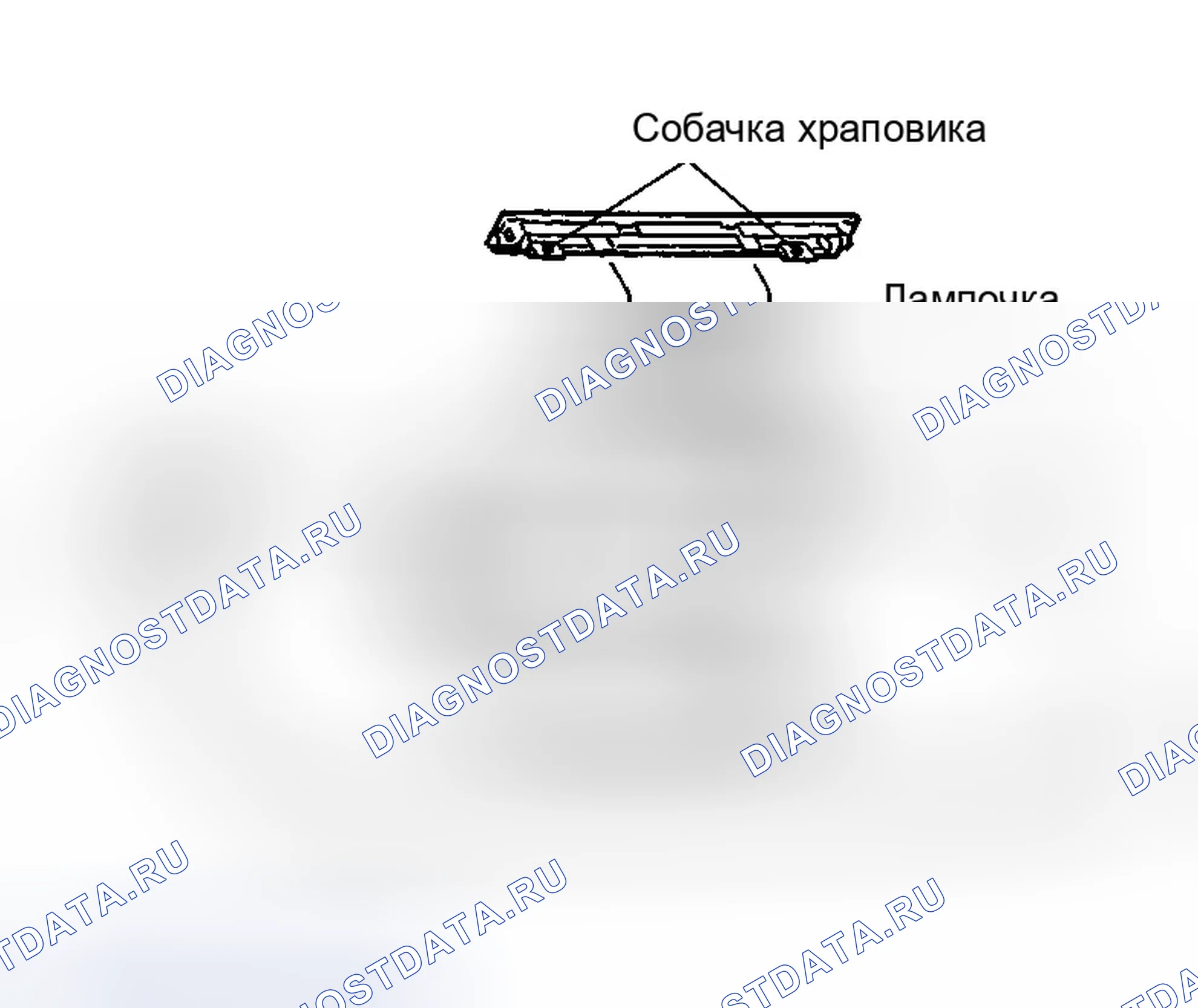 Рис. 204: Замена ламп. Infiniti G35 III
