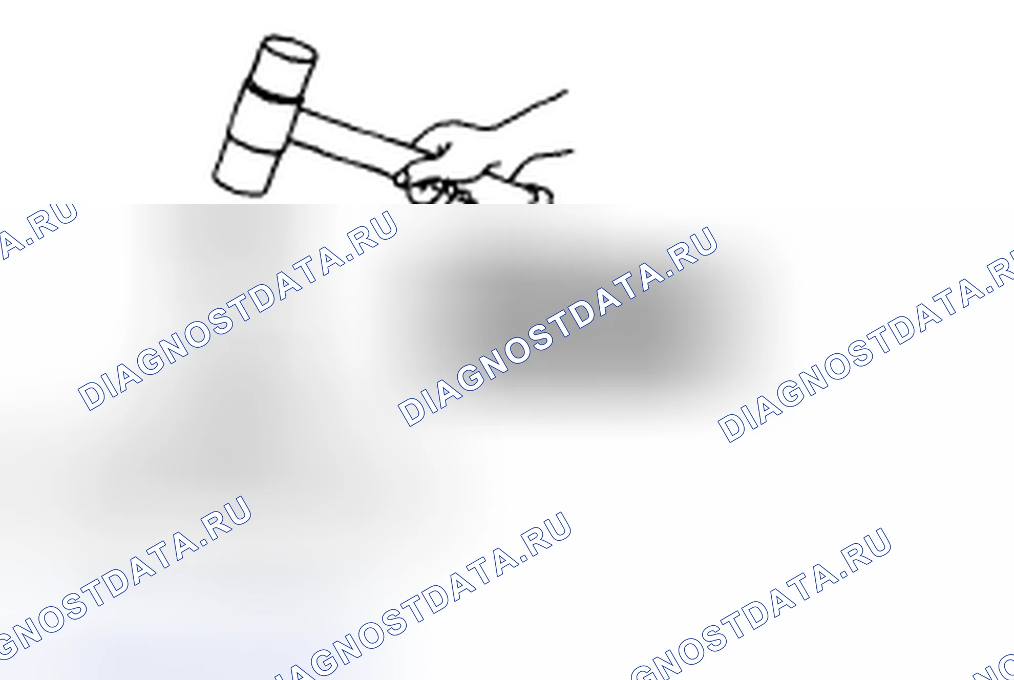 Рис. 683: Процедура сборки. Honda CR-V IV