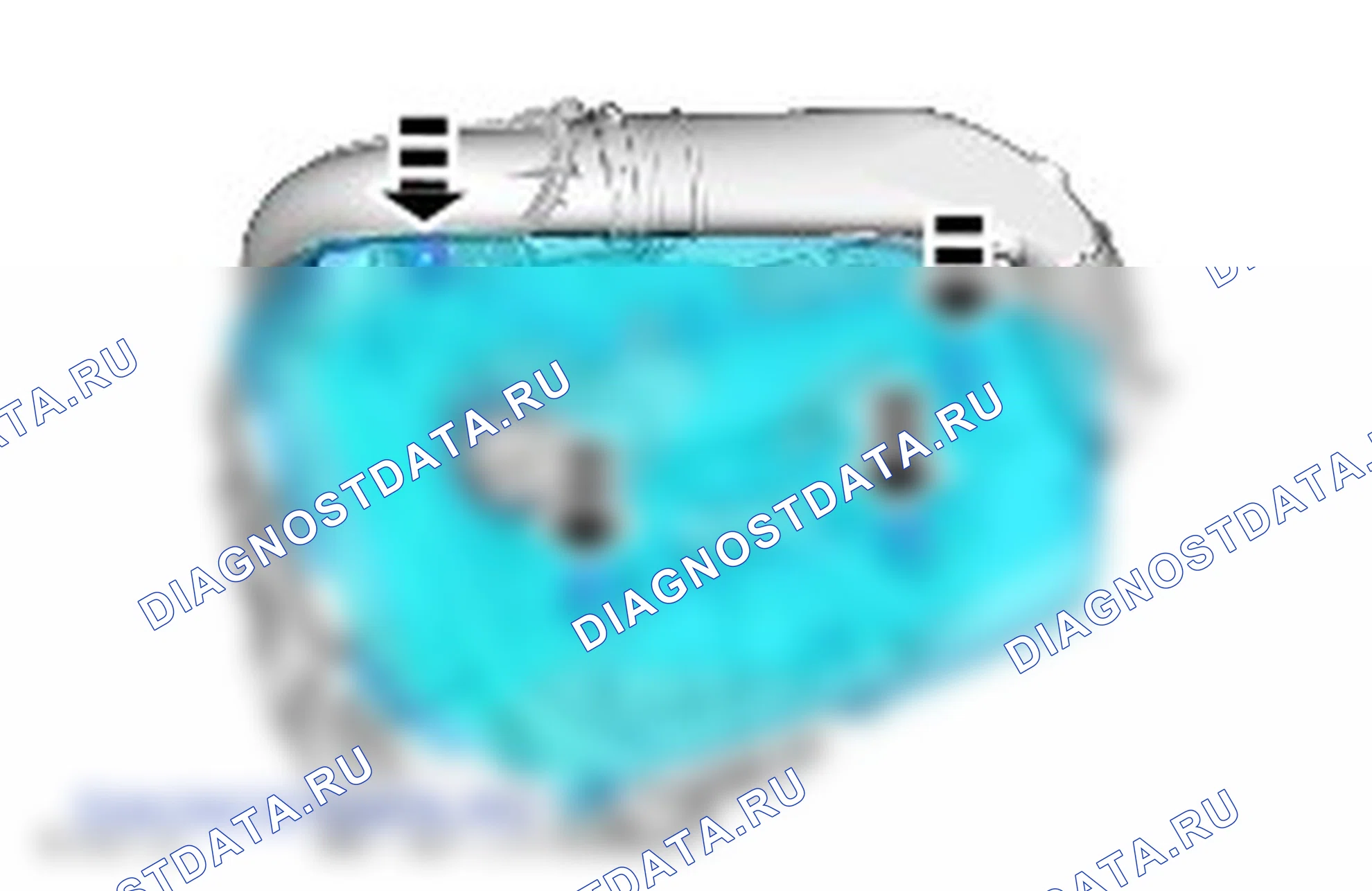 Диагностика двигателя. Ford Kuga II