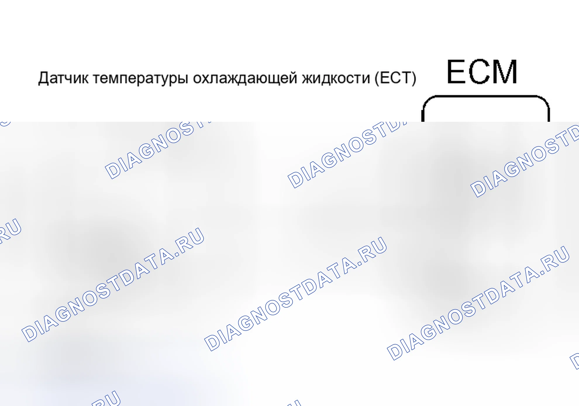 Рис. 91. Scion xB I