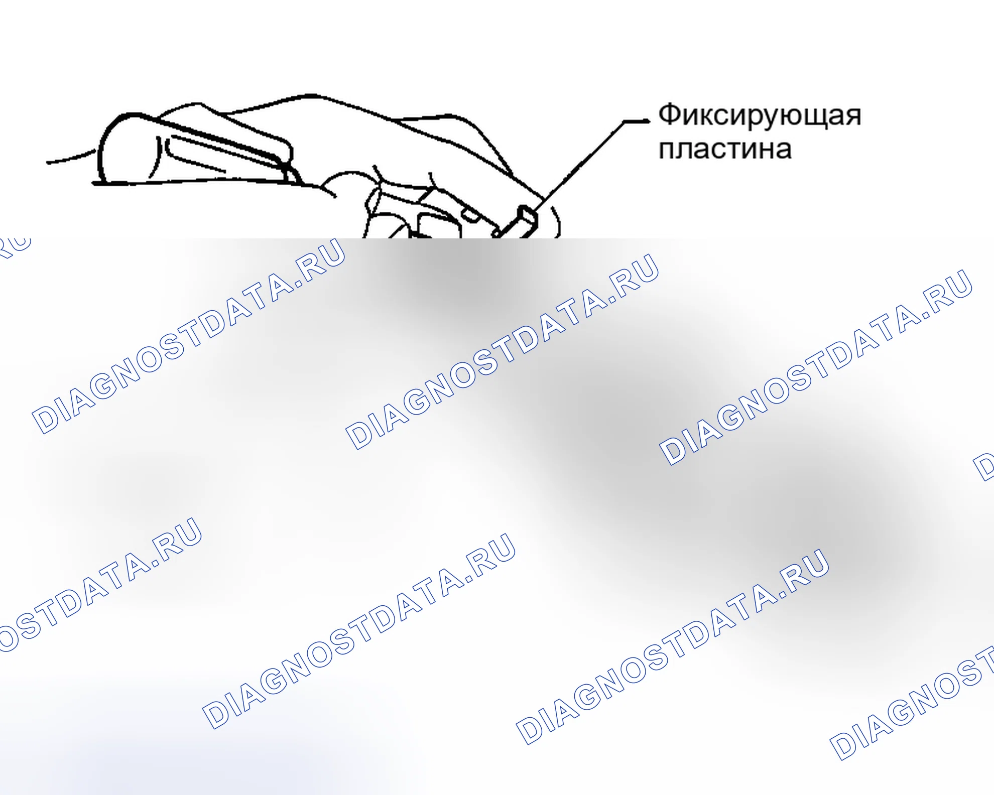 Рис. 1347. Nissan Sentra B15