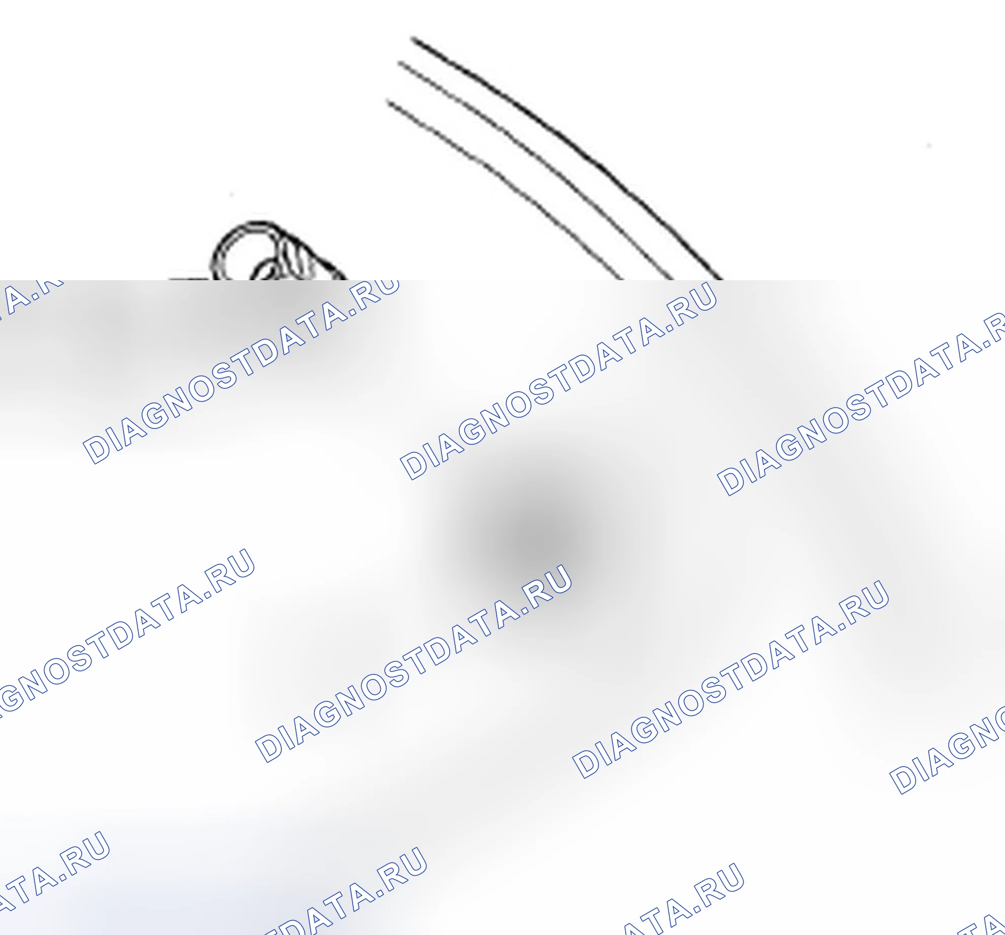 Рис. 34. Honda Element YH2 рестайлинг 2