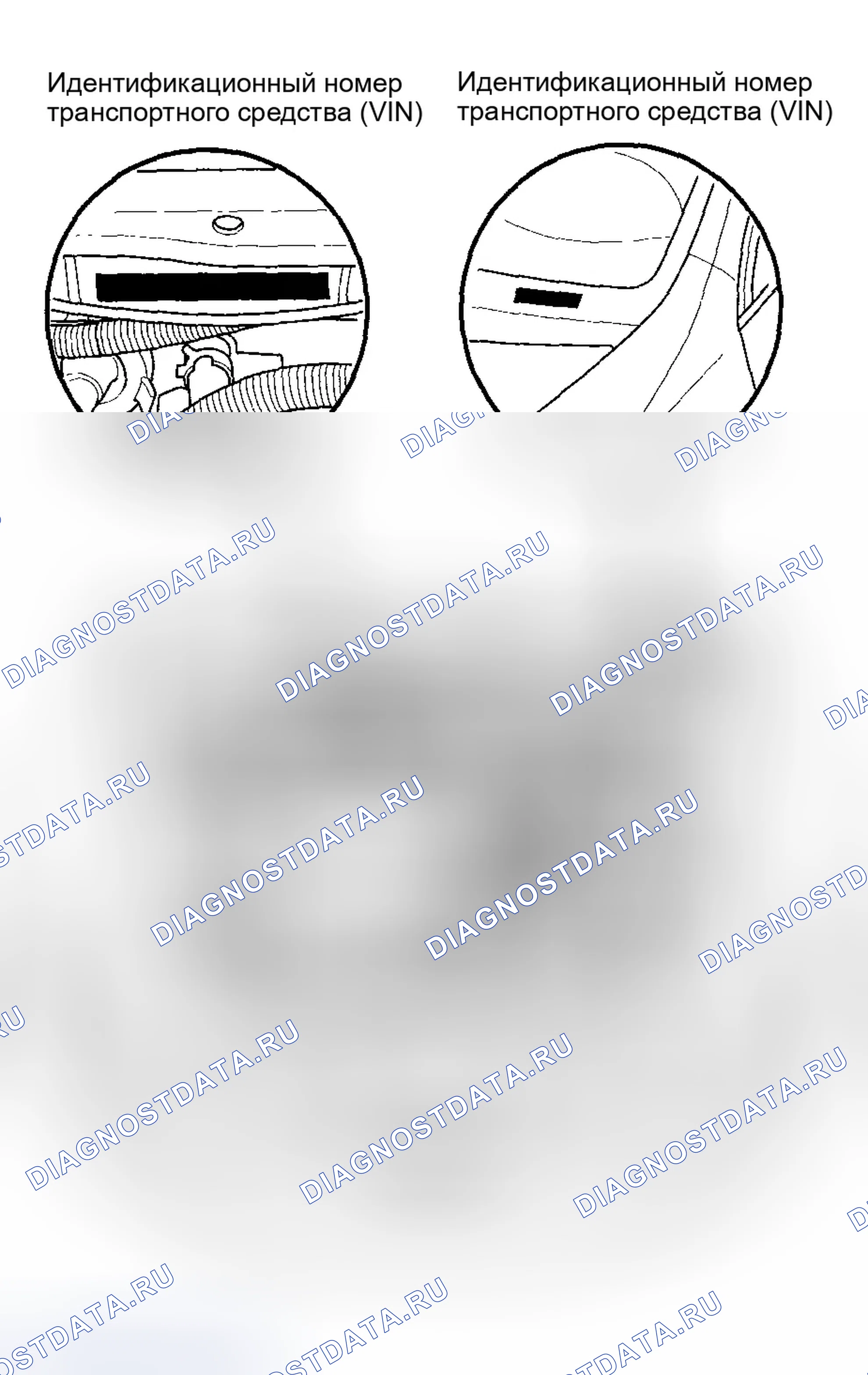 Рис. 49: Расположение идентификационных номеров. Honda Accord VII рестайлинг