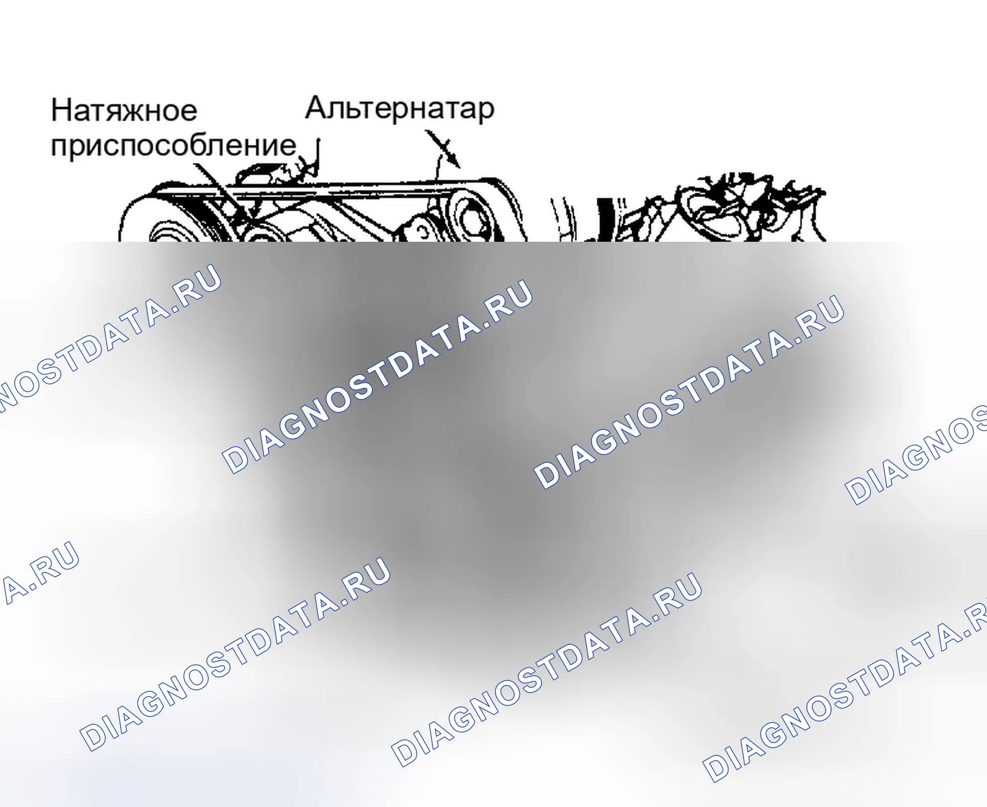Рис. 17: ТРАССИРОВКА СЕРПАНТИННОГО РЕМНЯ (TAURUS 2.5L). Ford Thunderbird X