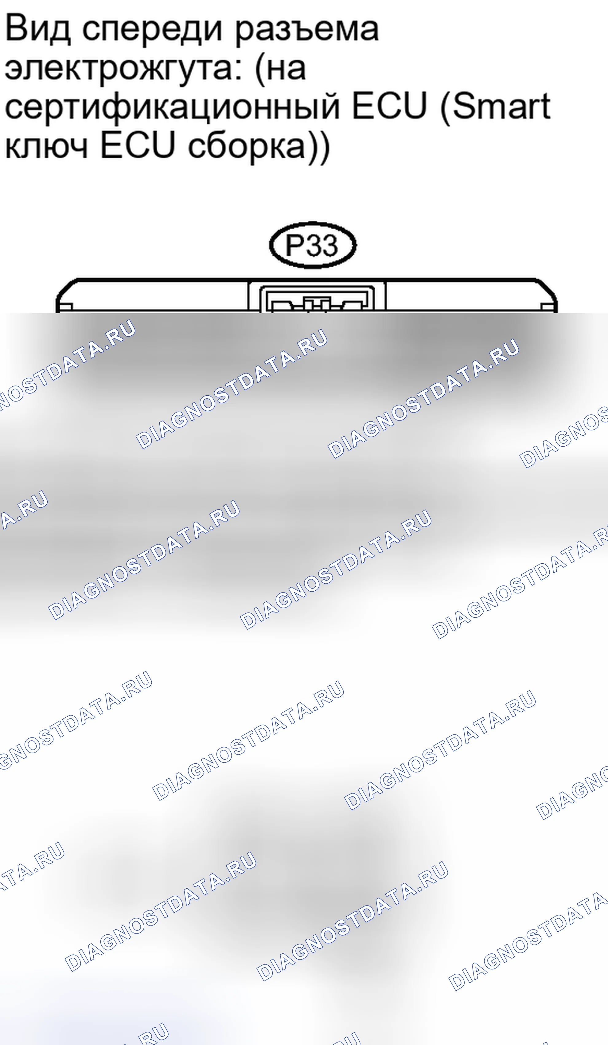Рис. 220. Lexus IS F I