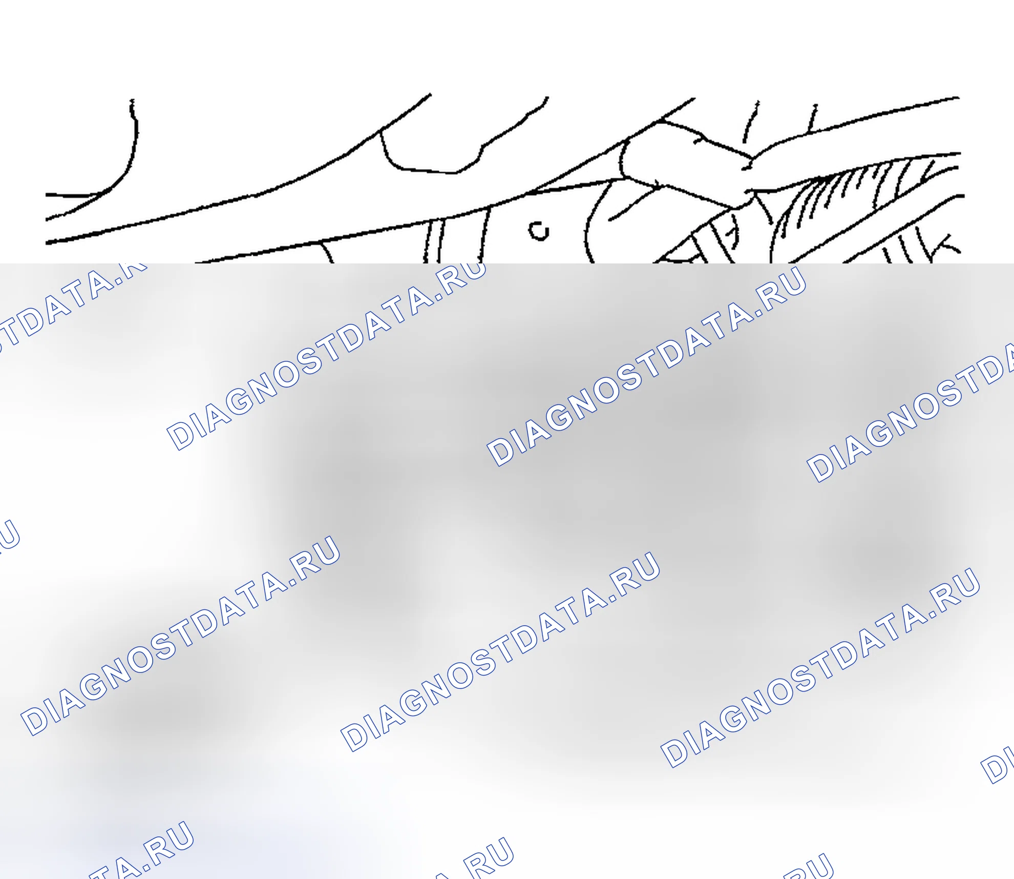 Рис. 8. Nissan 350Z I