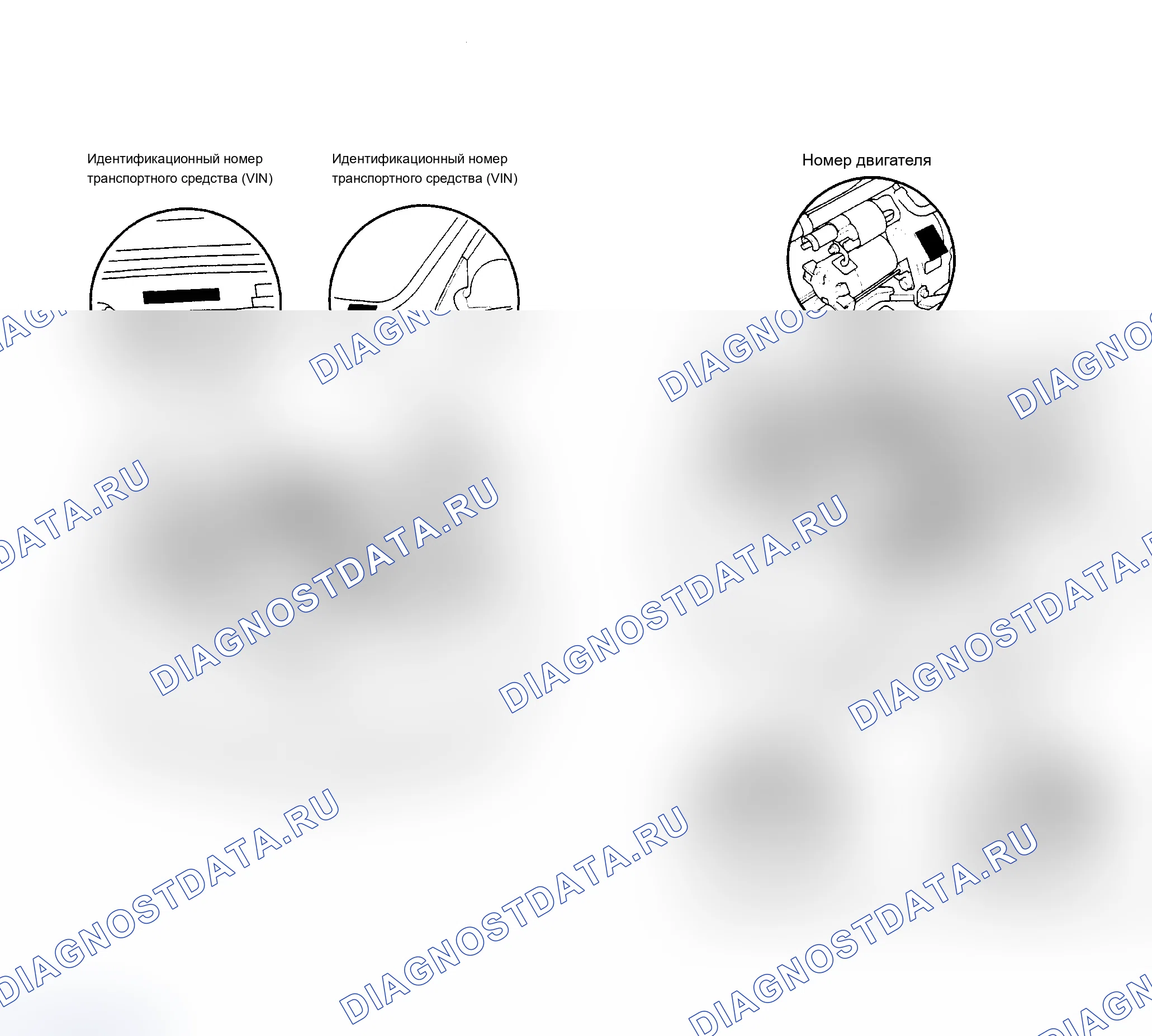 Рис. 4: Расположение идентификационных номеров. Acura RSX I