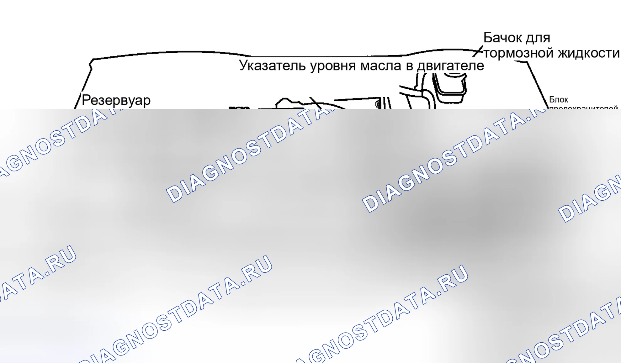 Рис. 5: РАСПОЛОЖЕНИЕ ТОЧЕК ОБСЛУЖИВАНИЯ. Lexus GS II