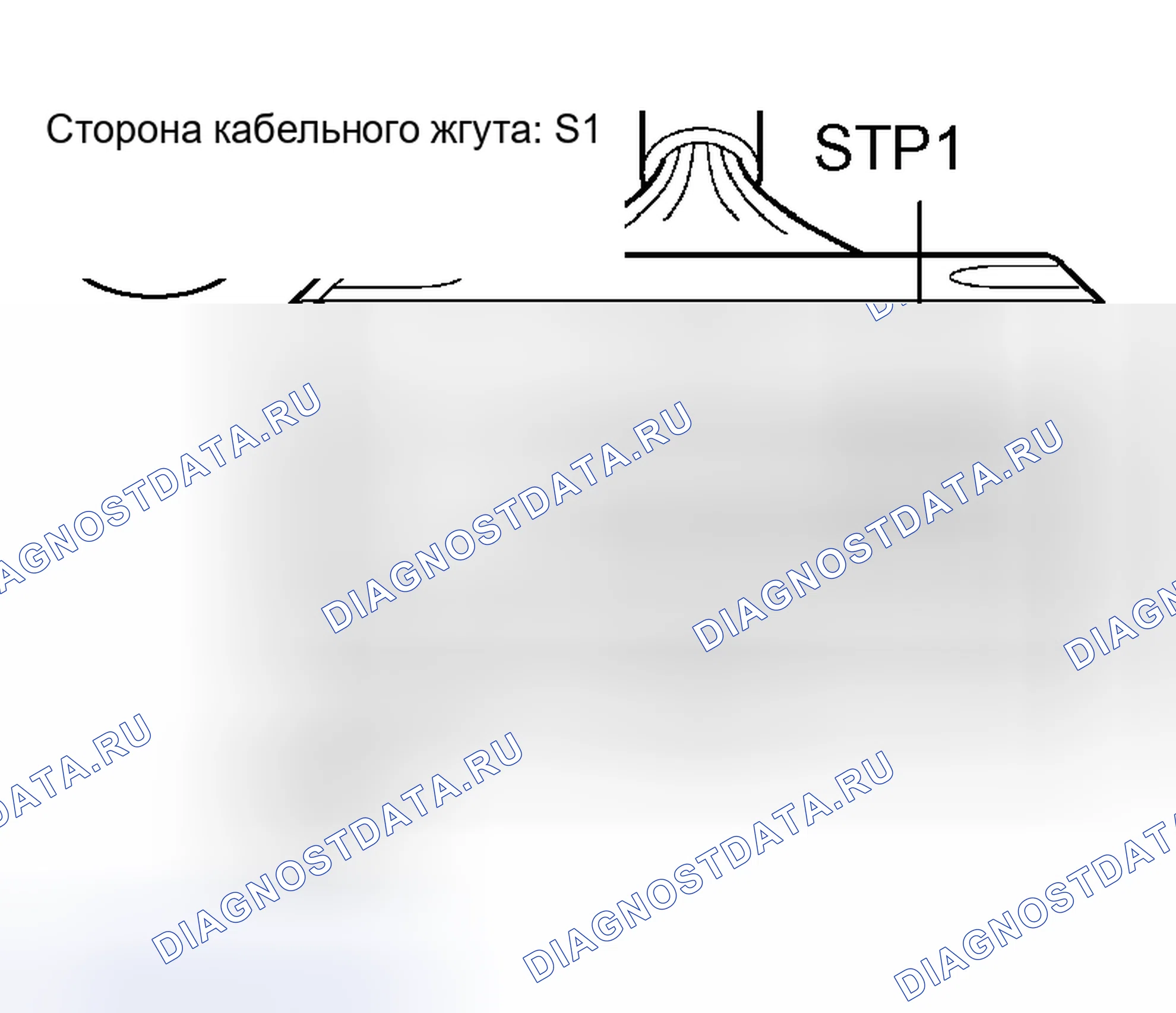 Рис. 10. Honda Accord VIII рестайлинг
