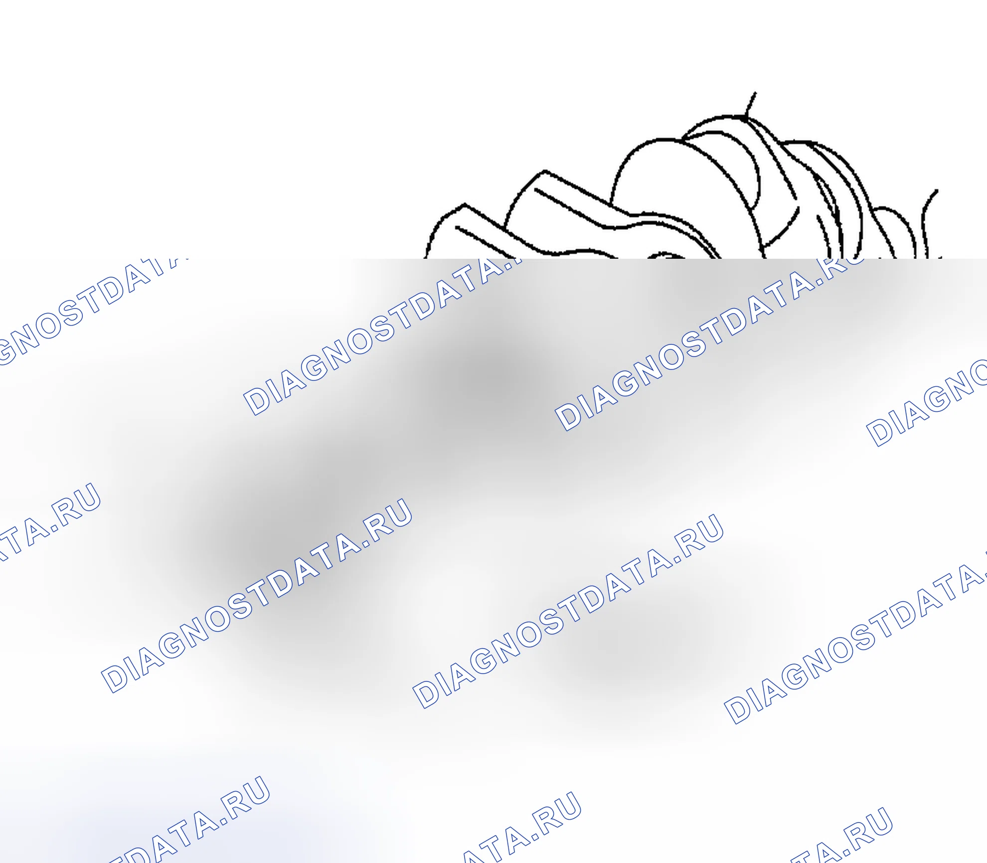 Рис. 398. Nissan Altima L31