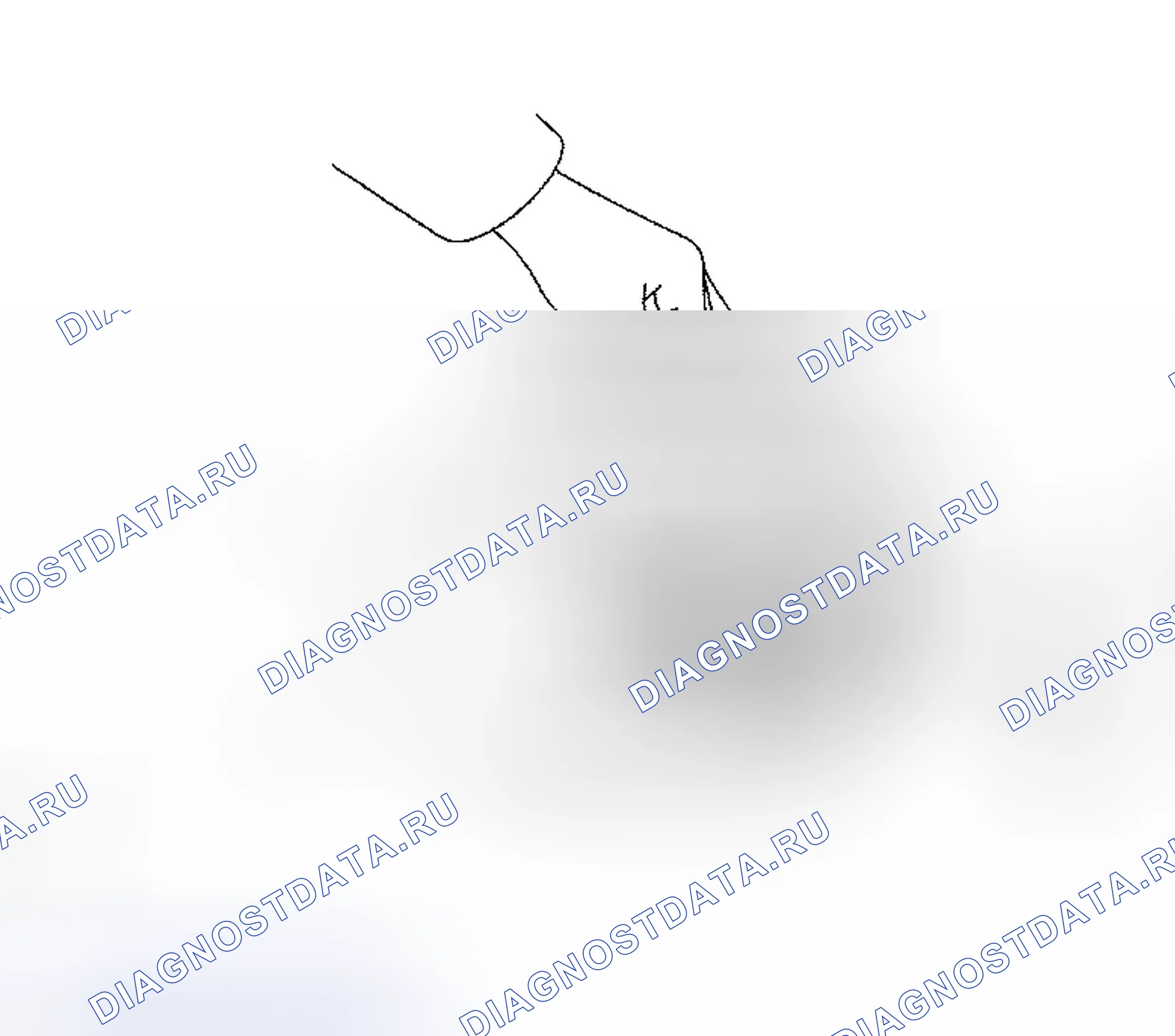 Рис. 247. Haval Xiaolong Max I