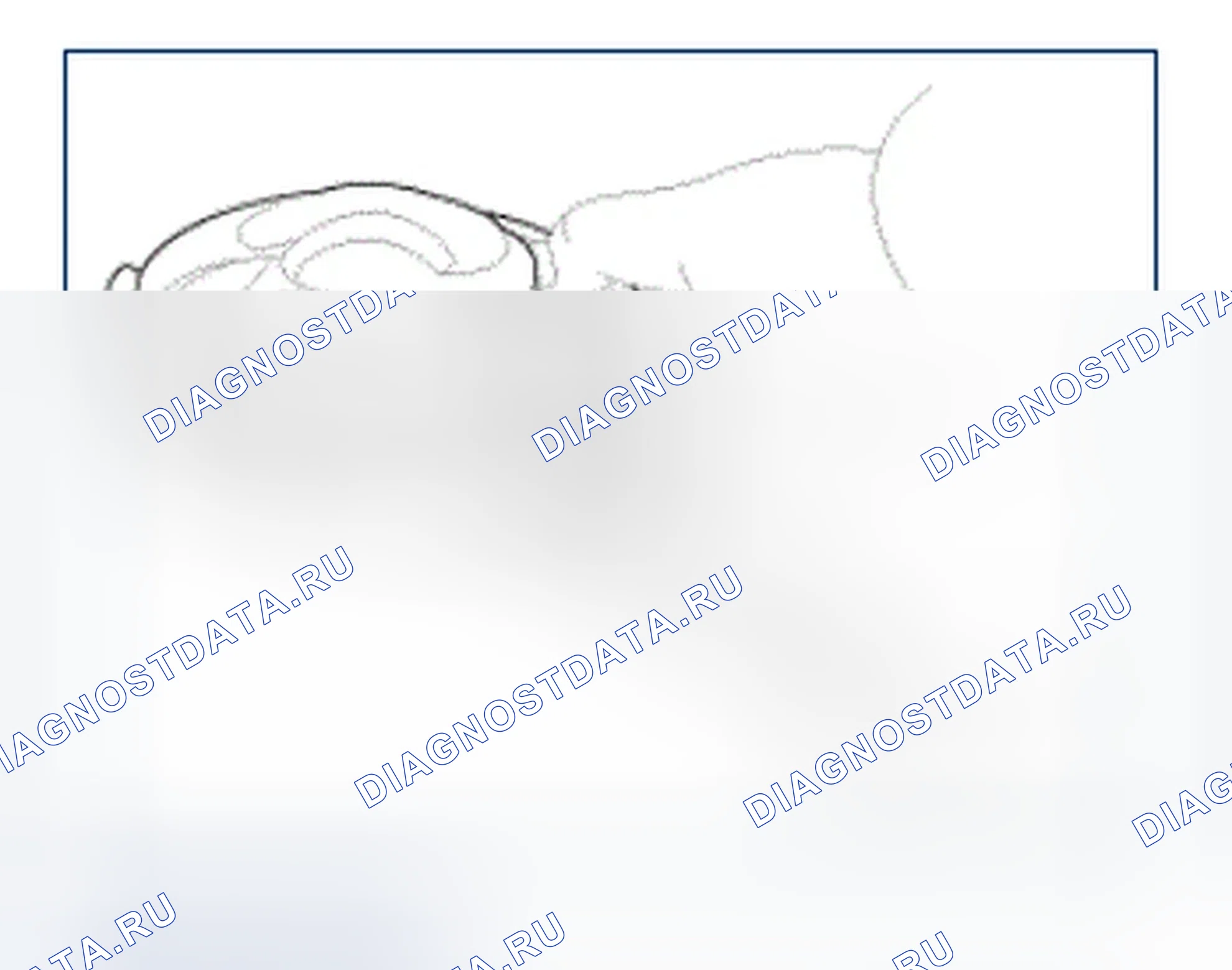 Рис. 252: Поршень и кольца. Hyundai Azera II