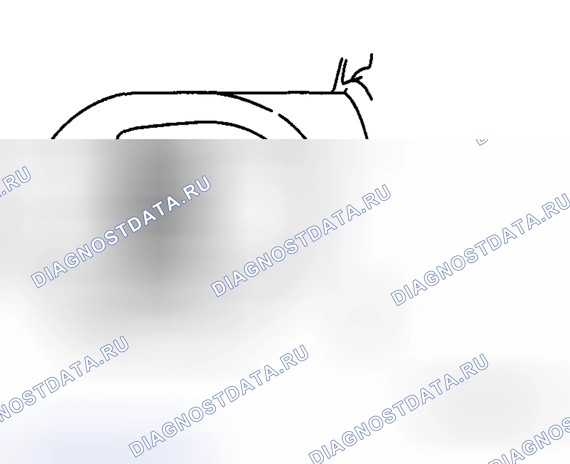 Рис. 4. Mazda 5 I