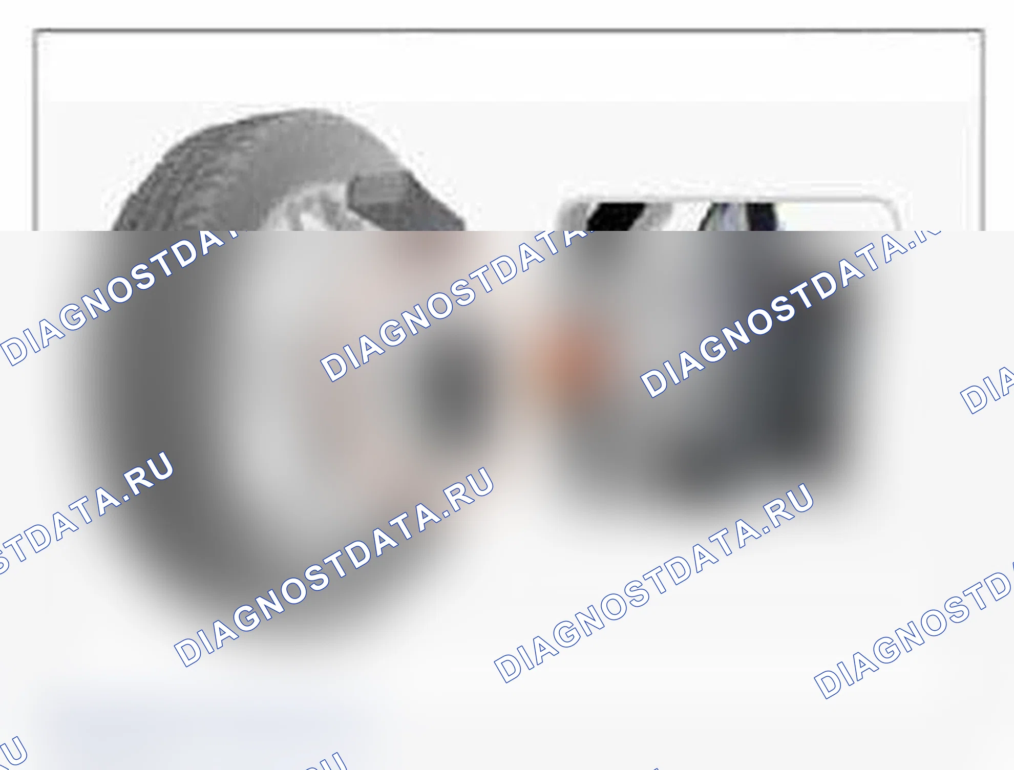 Рис. 85: Мониторинг данных GDS. Hyundai Santa Fe III