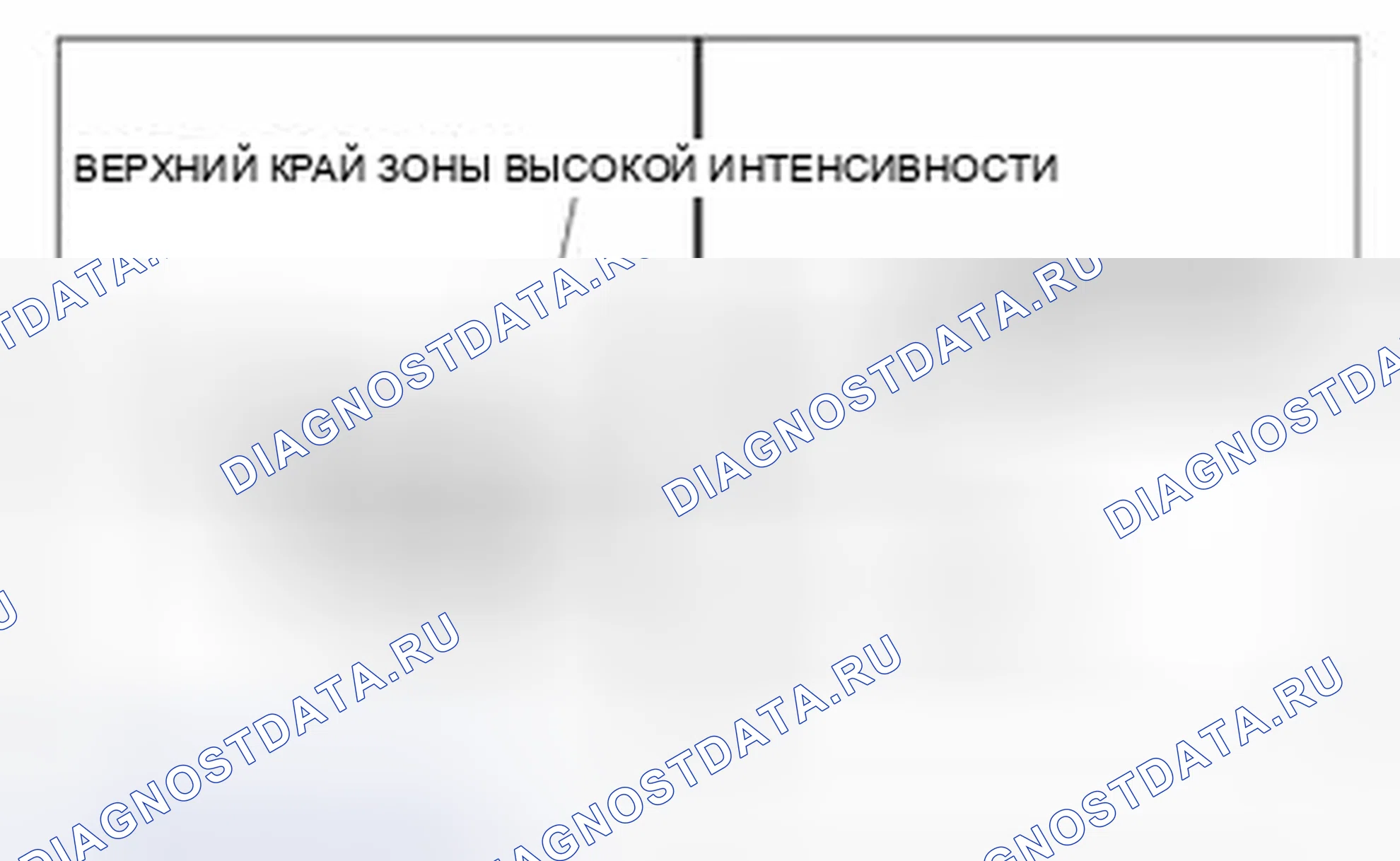 Рис. 120: Регулировка передней противотуманной фары. Ford Transit Connect I рестайлинг