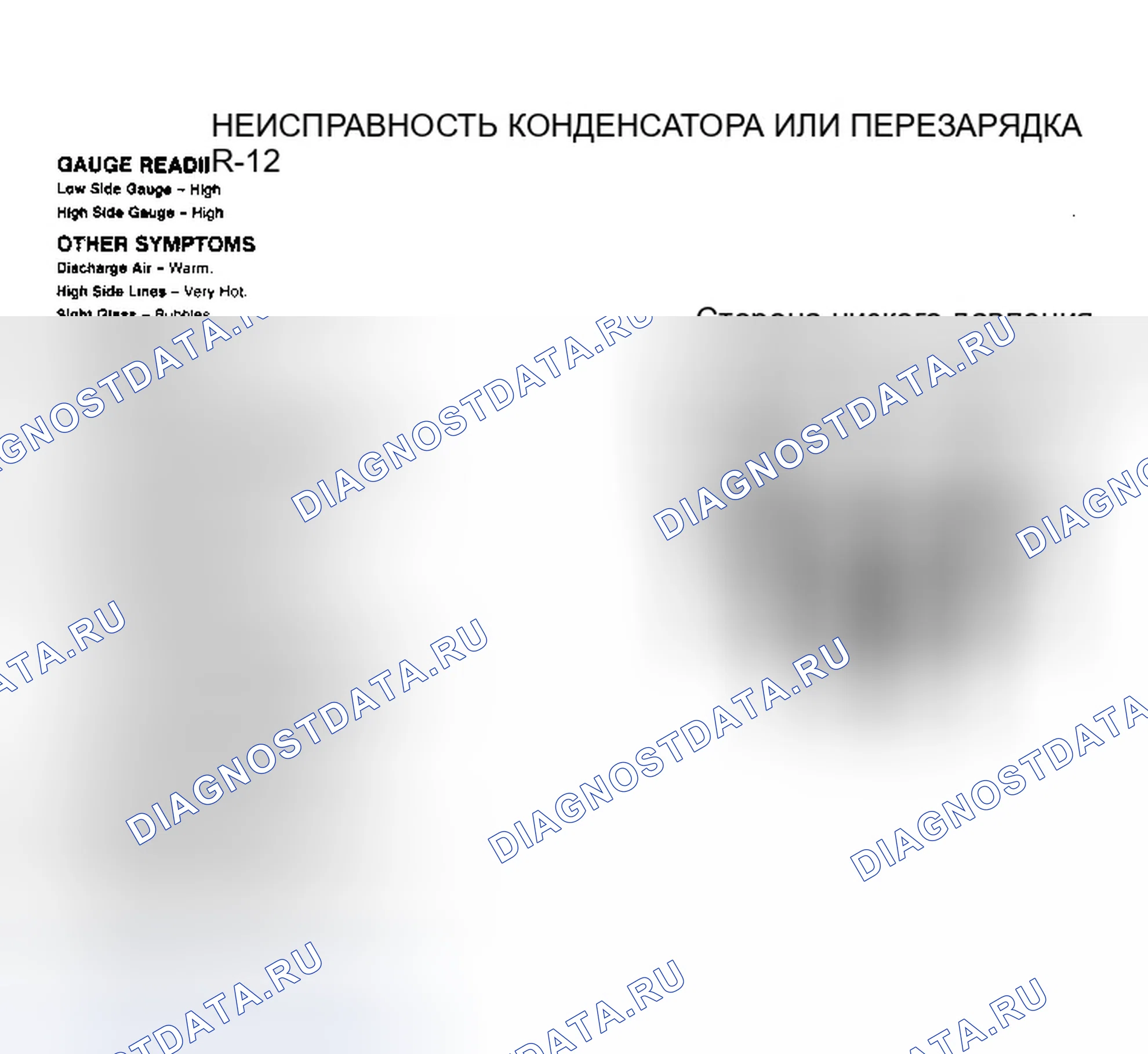 Рис. 16. Dodge Dakota WS 