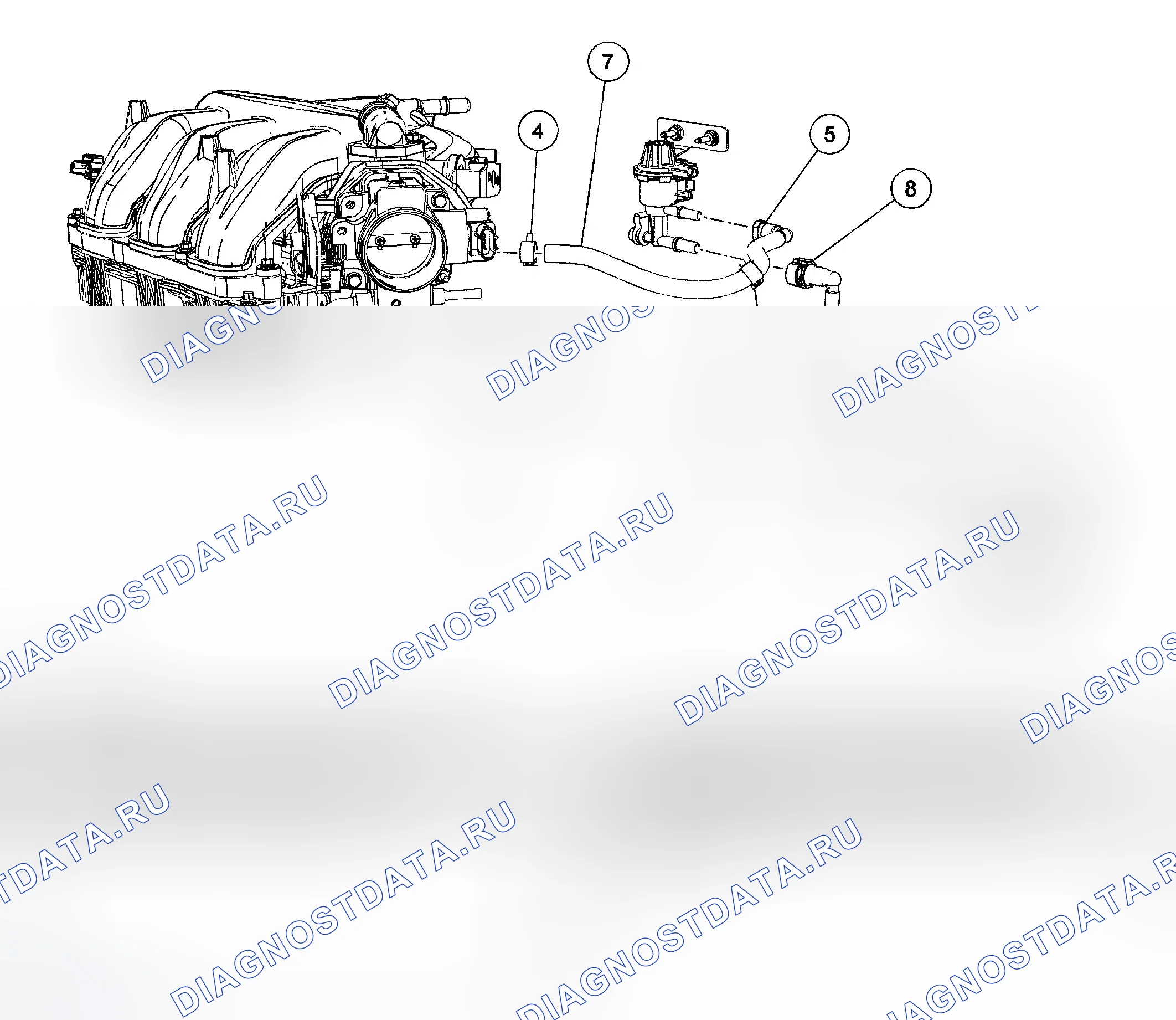 Рис. 32: Топливопроводы - 3,0 л (4V). Ford Escape I рестайлинг