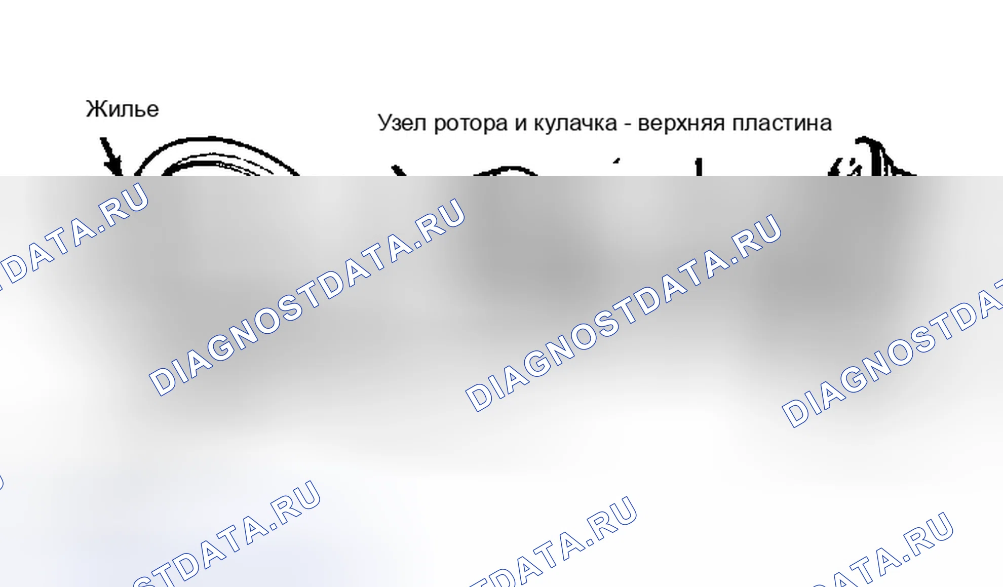 Рис. 8: Насос в разобранном виде. Ford Tempo I