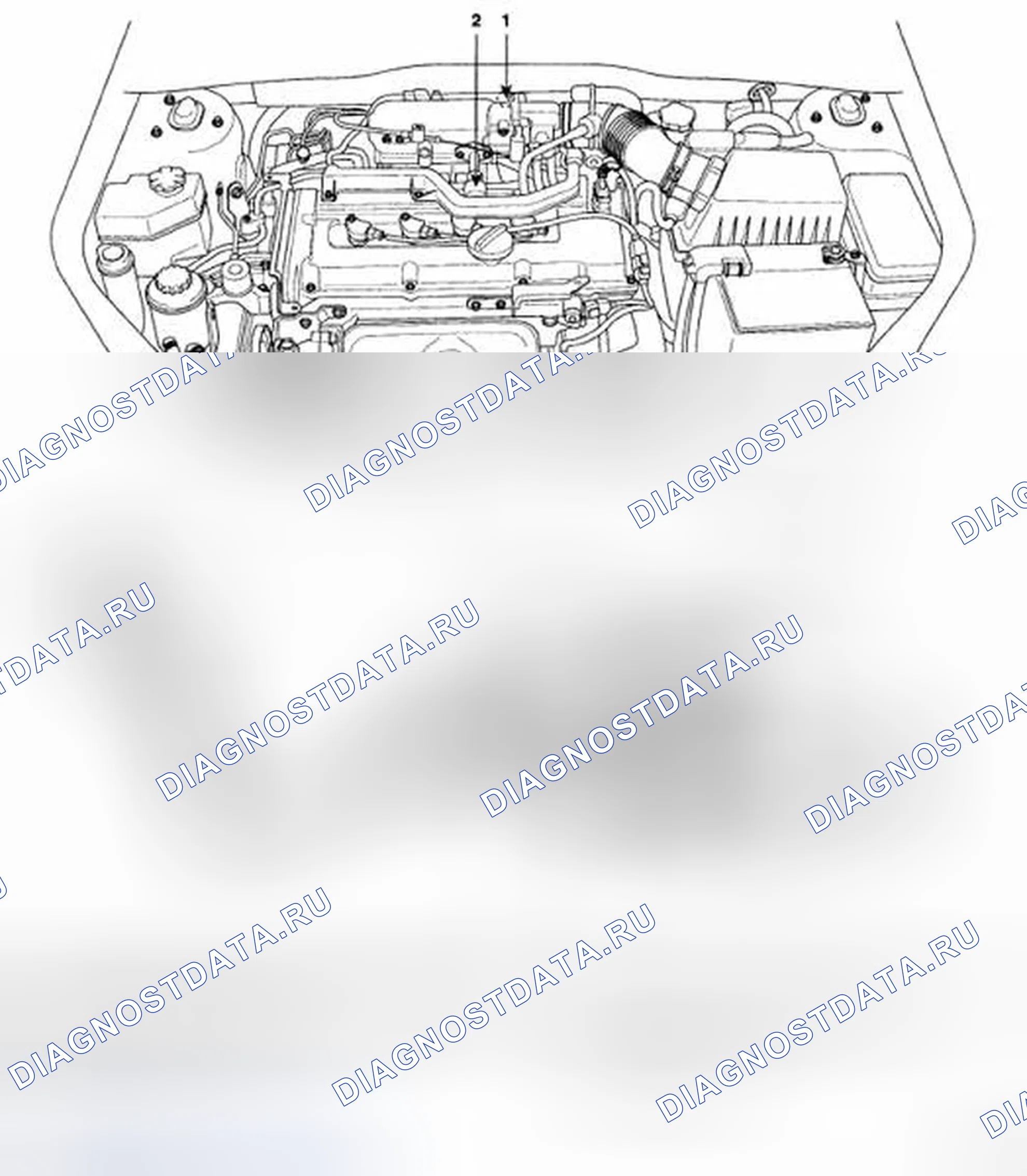 Рис. 5: РАСПОЛОЖЕНИЕ КОМПОНЕНТОВ. Hyundai Accent III
