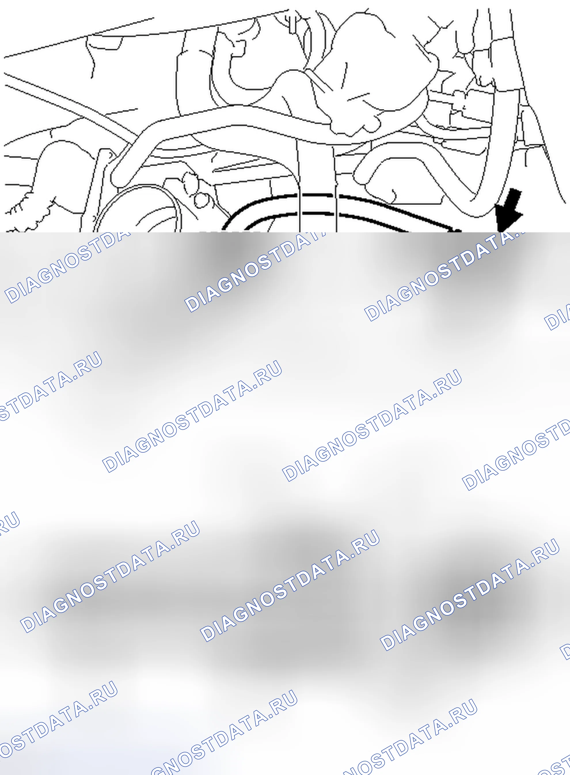 Рис. 44. Toyota Camry XV50