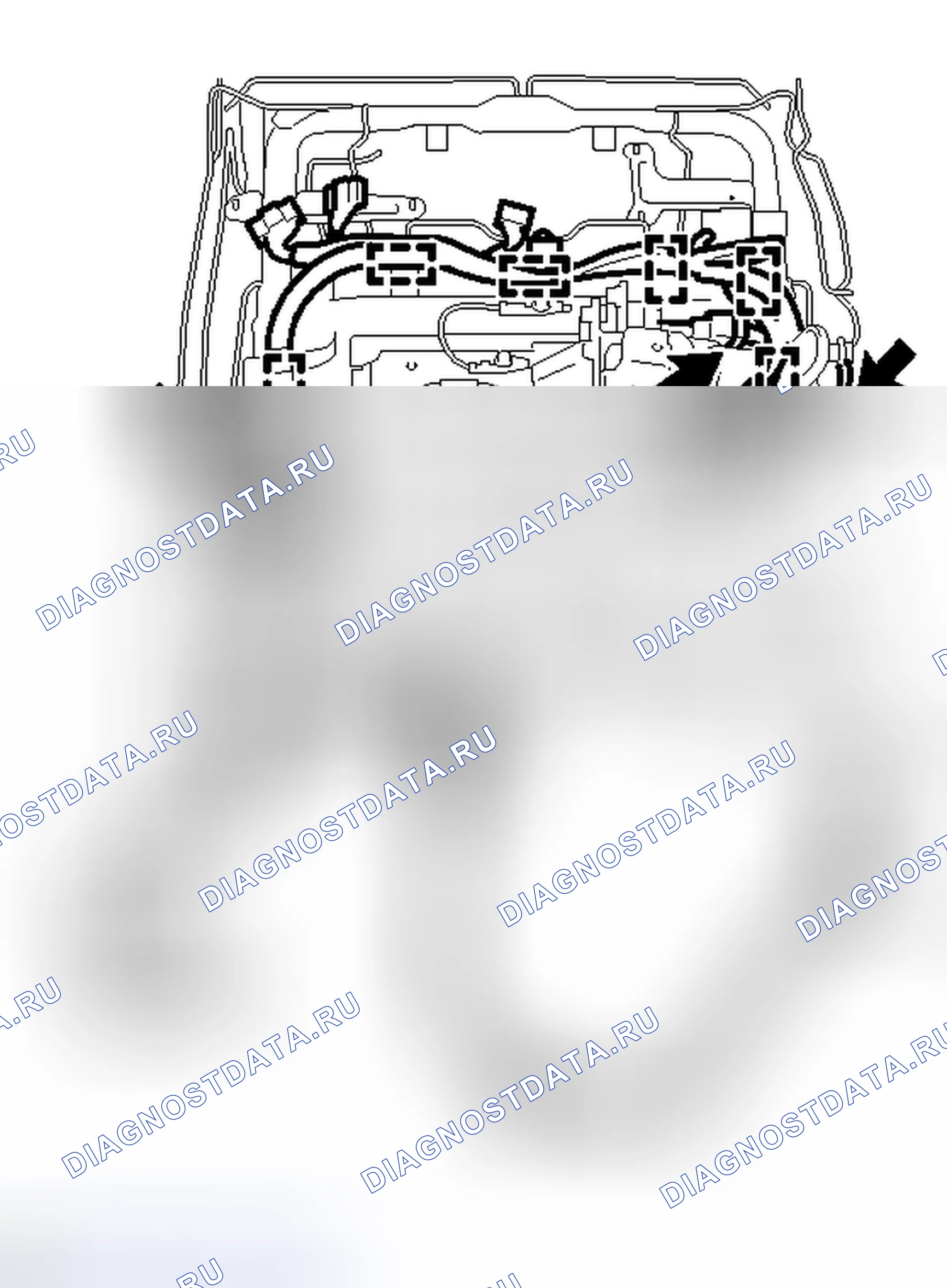 Рис. 339. Honda Accord IV