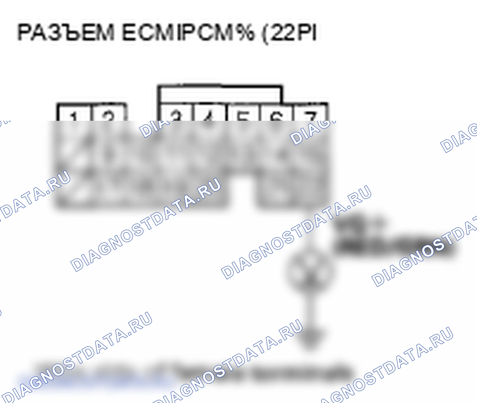 Рис. 364. Honda Element YH2 рестайлинг