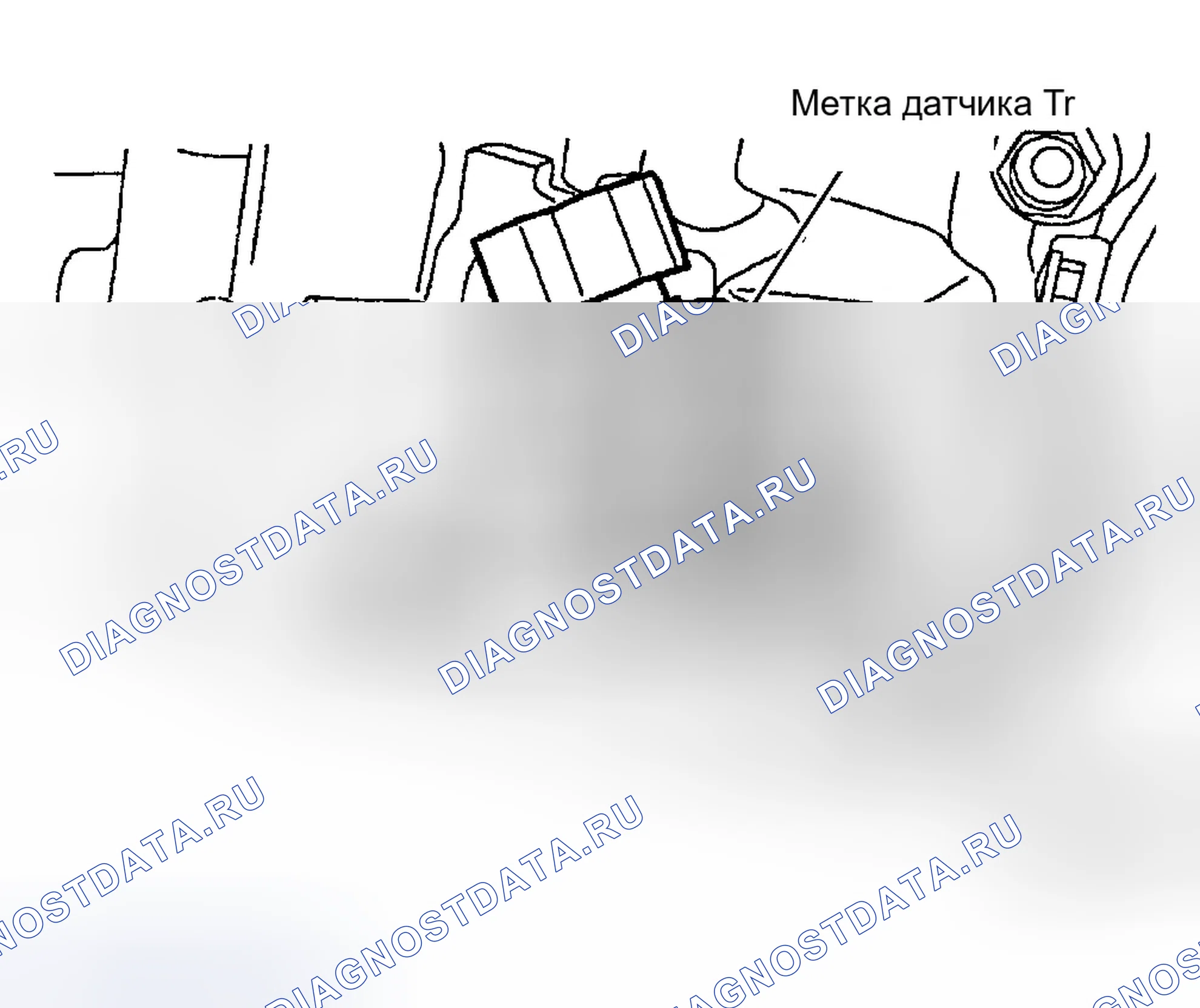 Рис. 8. Ford Focus I