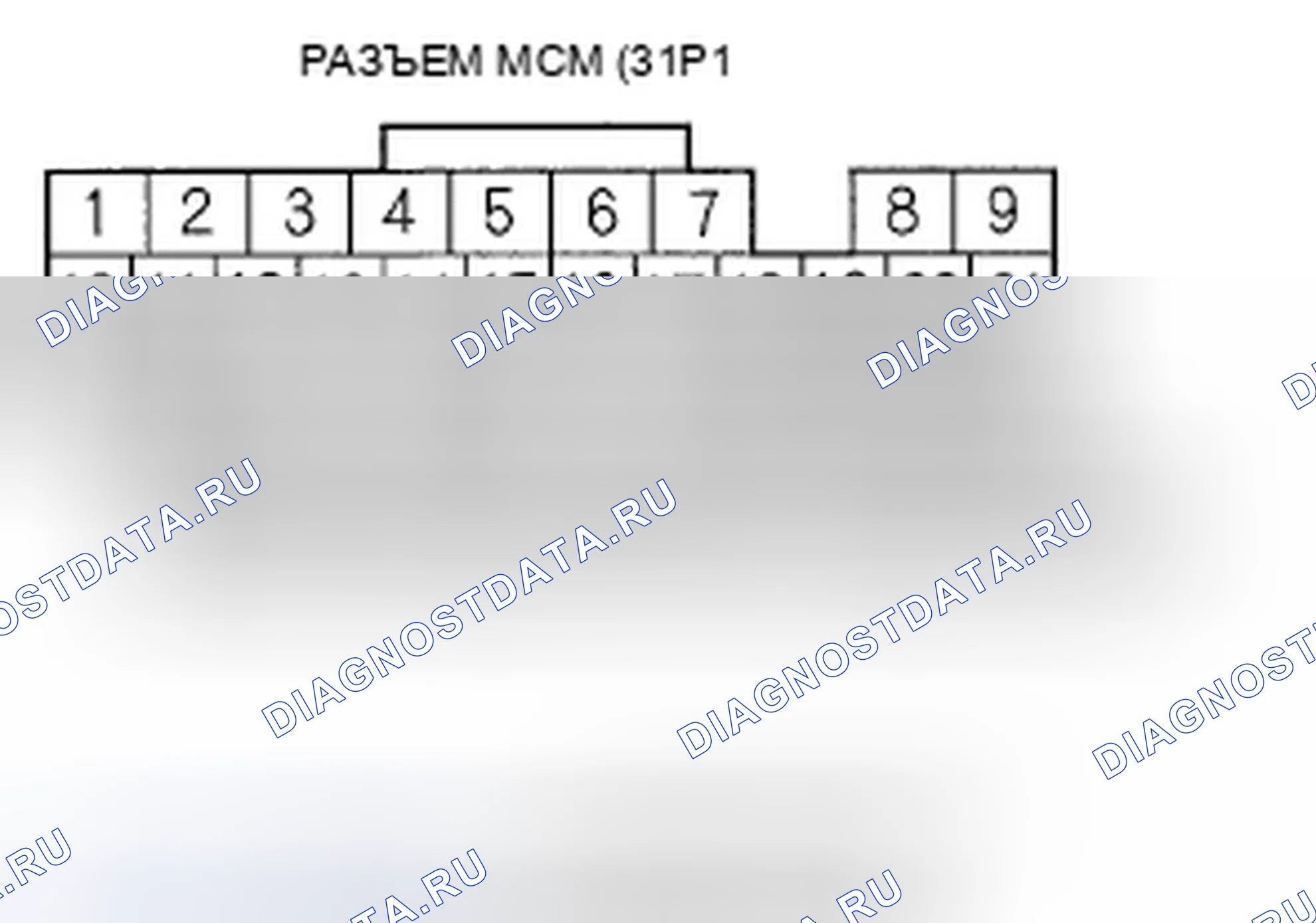 Рис. 253. Honda Accord VII рестайлинг