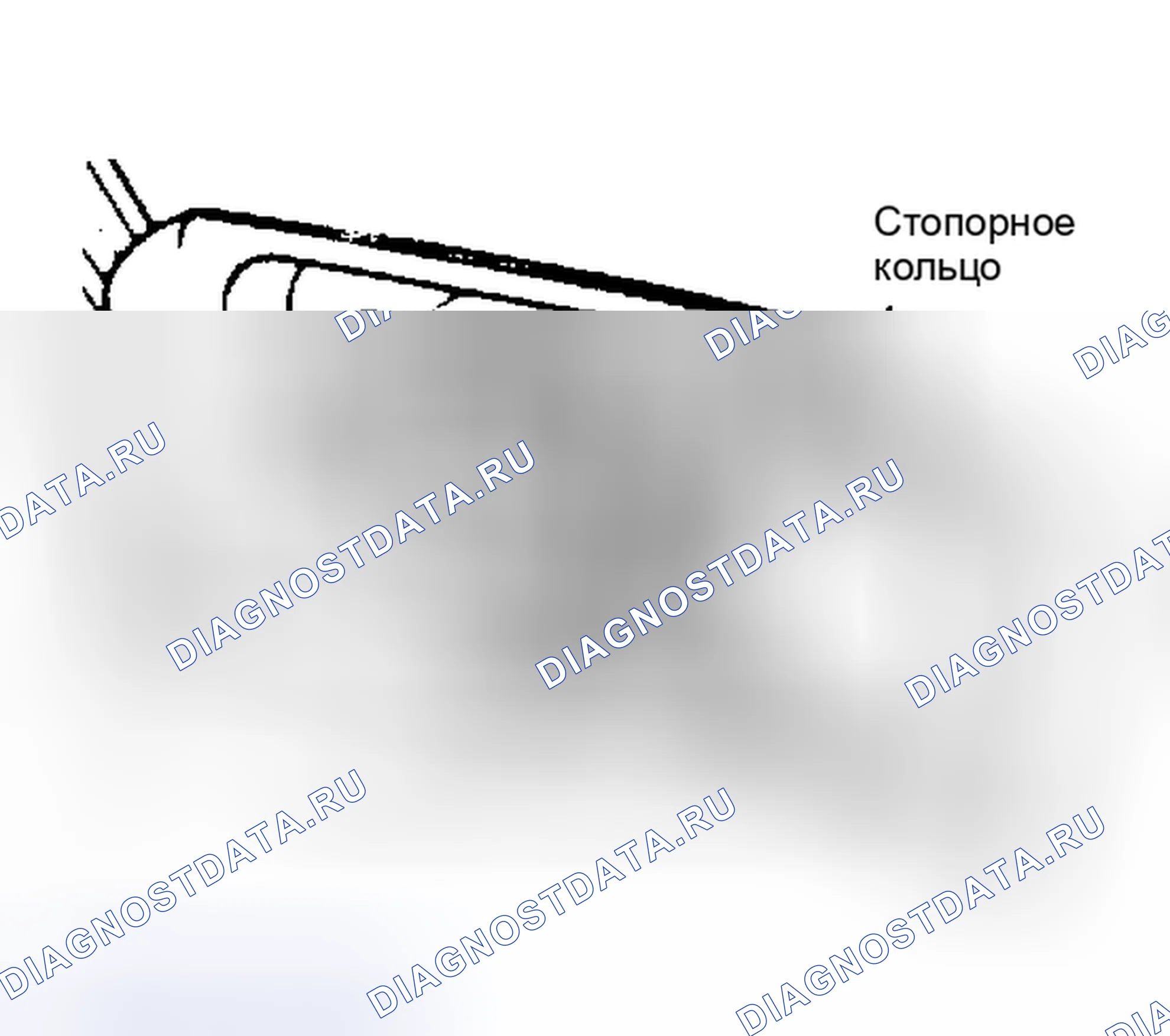 Рис. 5. Volkswagen Fox G1