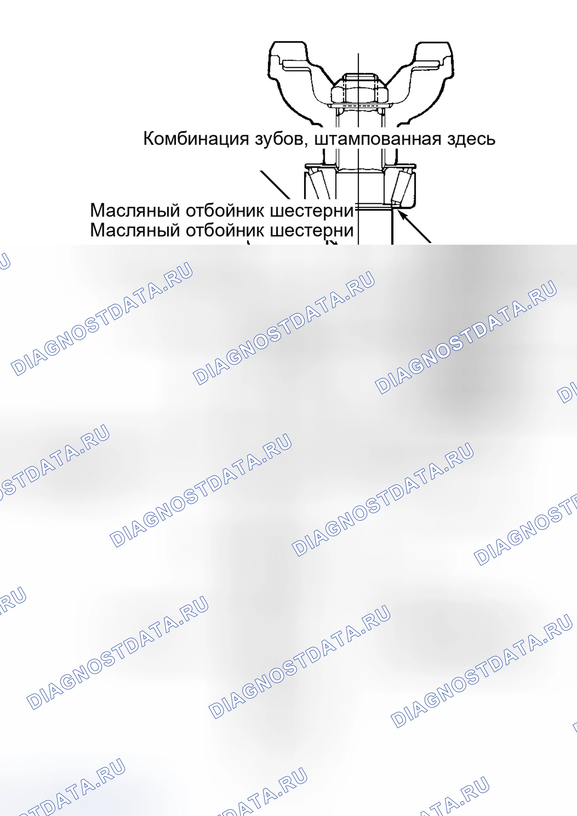 Рис. 3. Ford Cab & Chassis F350 