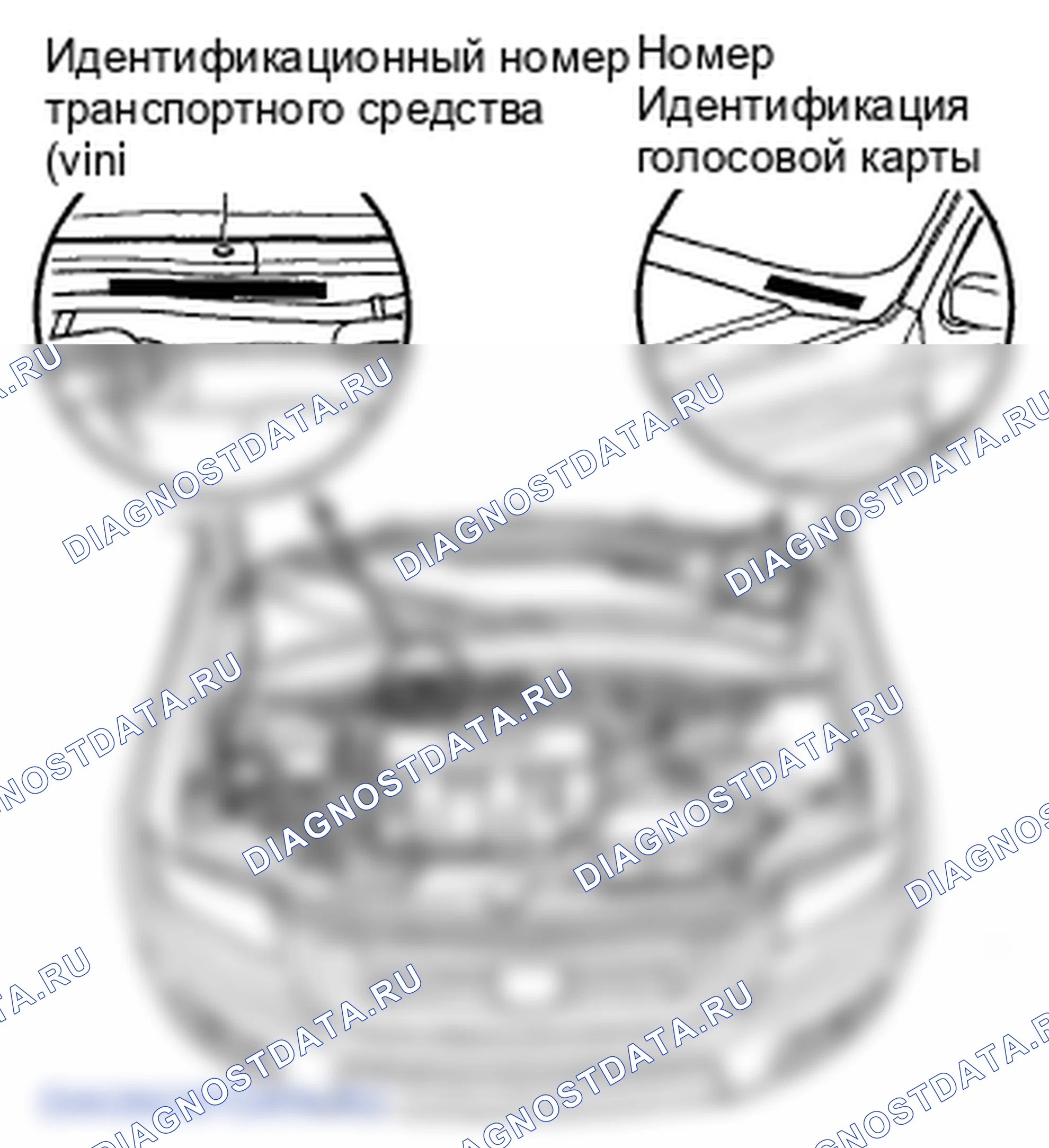 Рис. 17: Расположение идентификационных номеров. Honda Ridgeline I рестайлинг