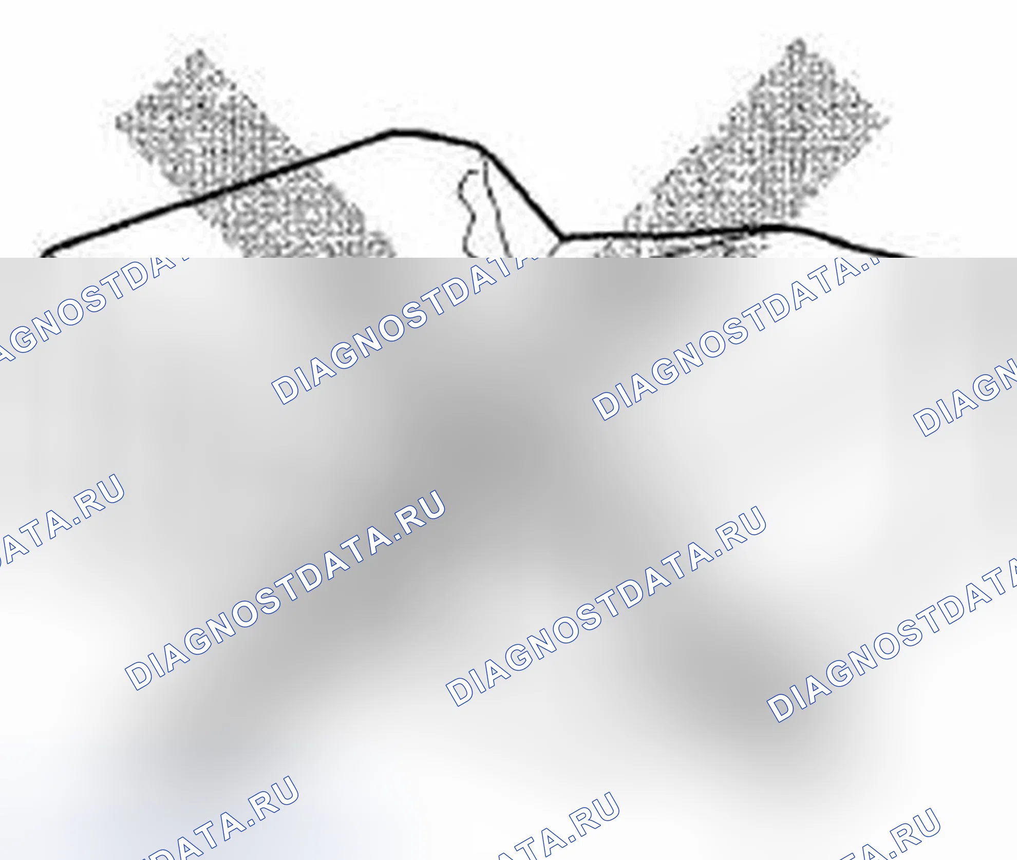 Рис. 198. Acura TSX II