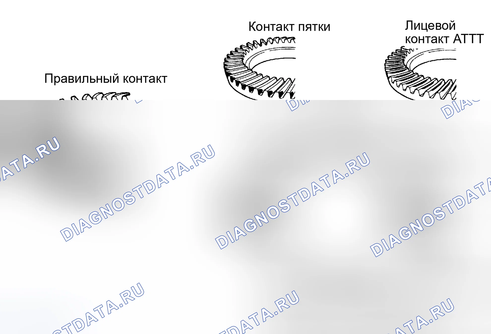 Рис. 70. Honda Accord VIII рестайлинг