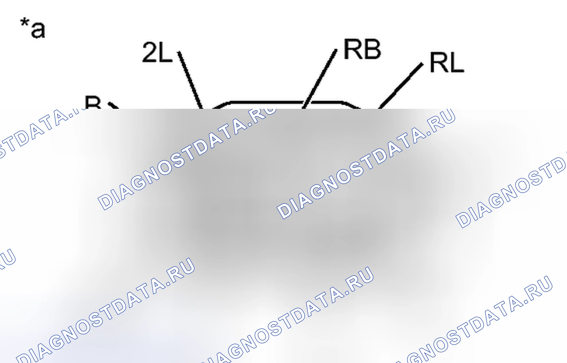 Рис. 2205. Toyota Tacoma II рестайлинг
