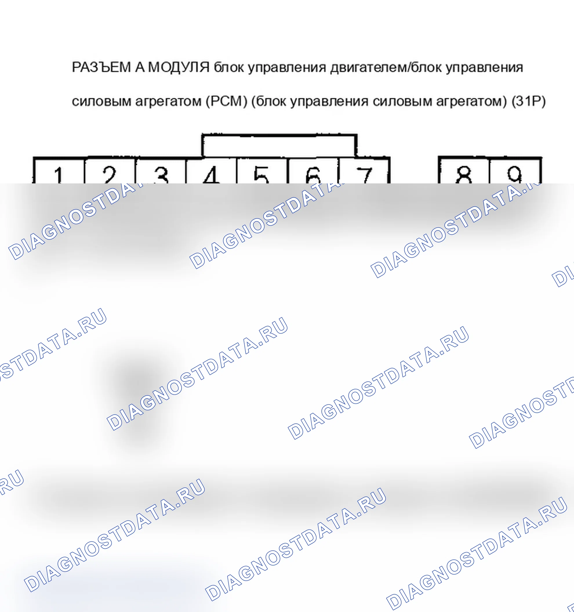 Рис. 387. Acura RSX I рестайлинг