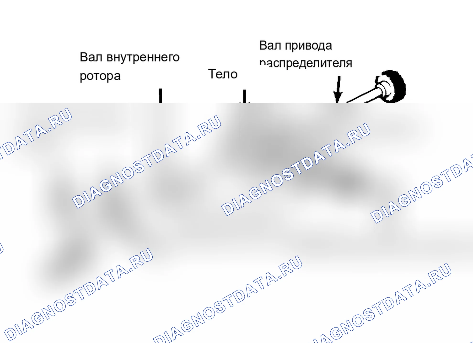 Рис. 32: Типовой масляный насос роторного типа. Jeep Wrangler I