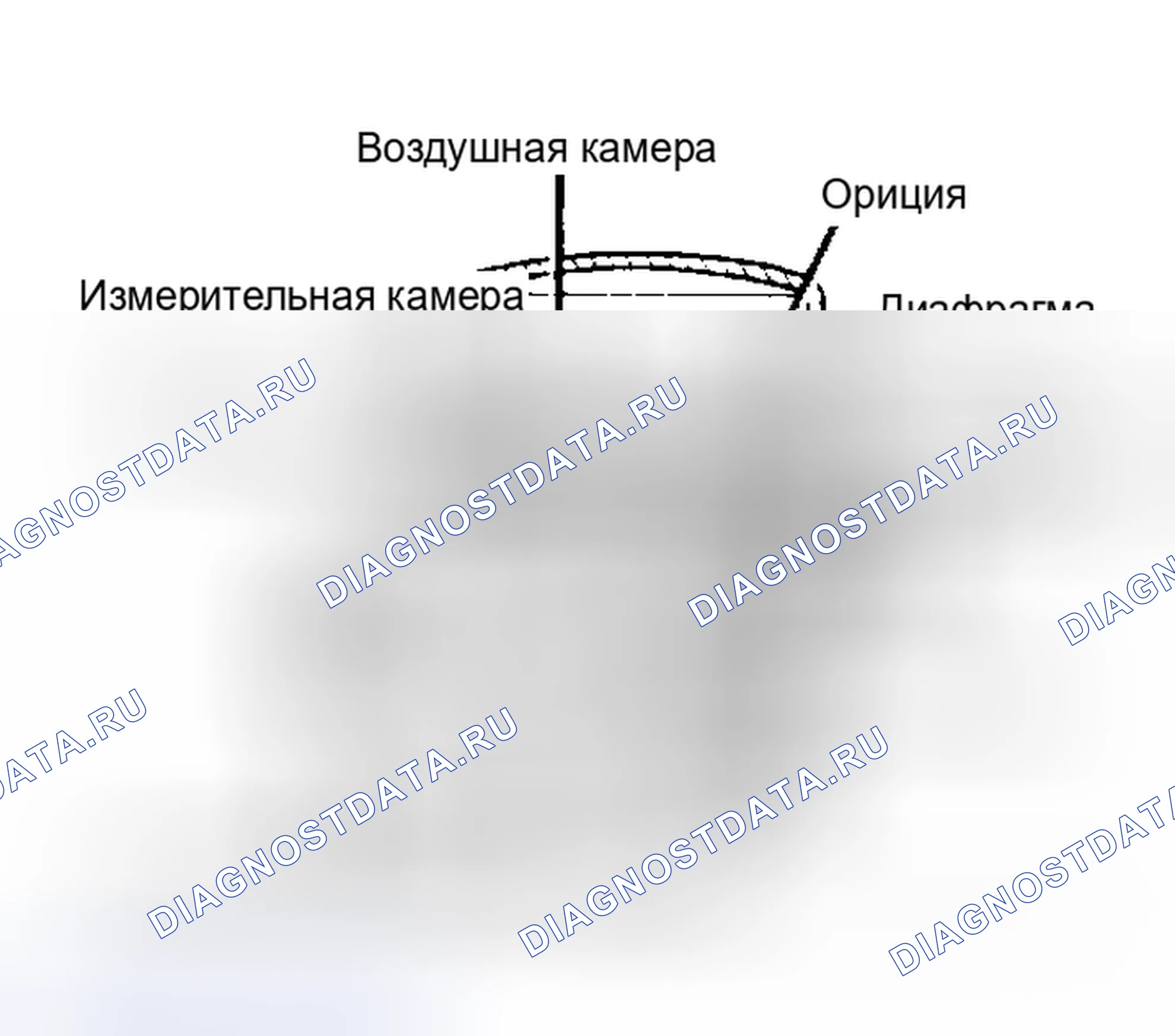 Рис. 1: Вид в разрезе антиадгезионного клапана Обратить внимание на направление воздушного потока.. Honda Accord I