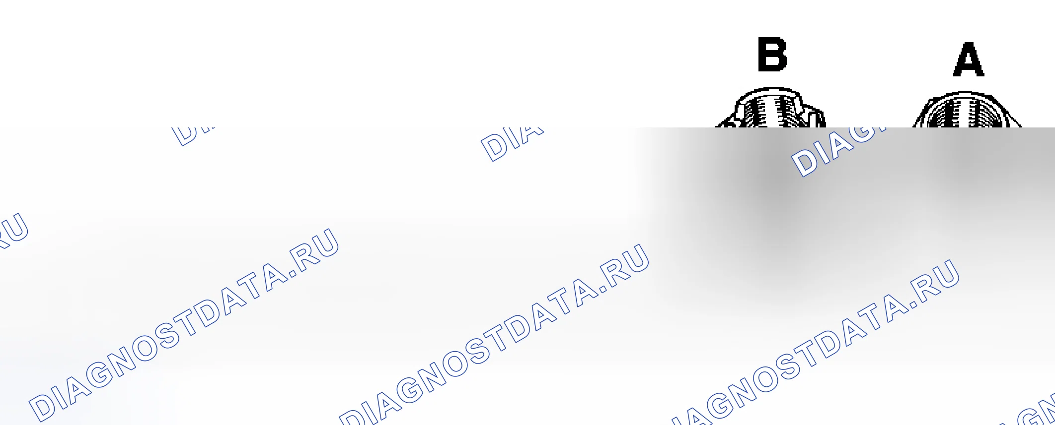 Рис. 40. Porsche 911 GT3 996 рестайлинг