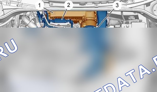 Снятие - установка: топливный фильтр — b1bp3fqd. Citroen C2 I