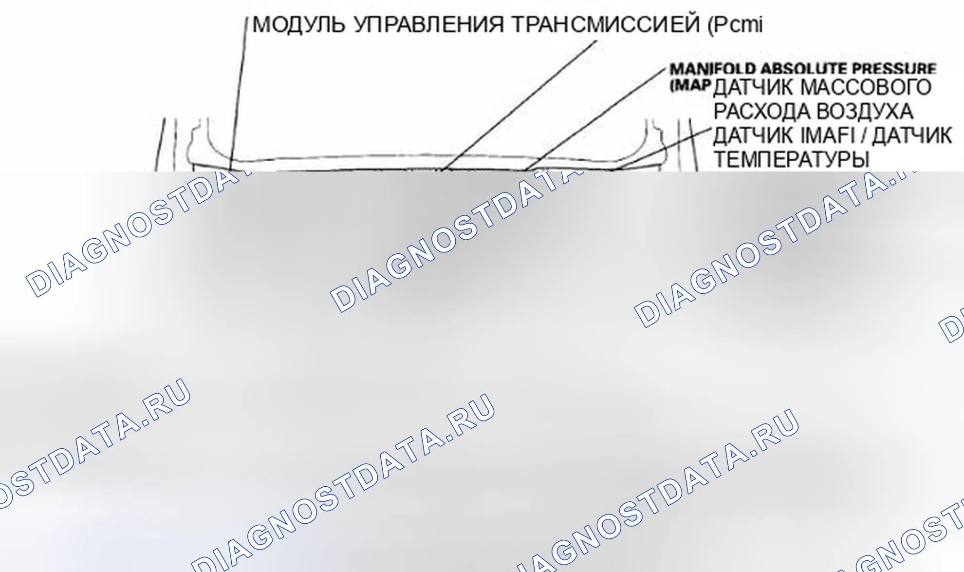 Рис. 219. Honda Odyssey IV
